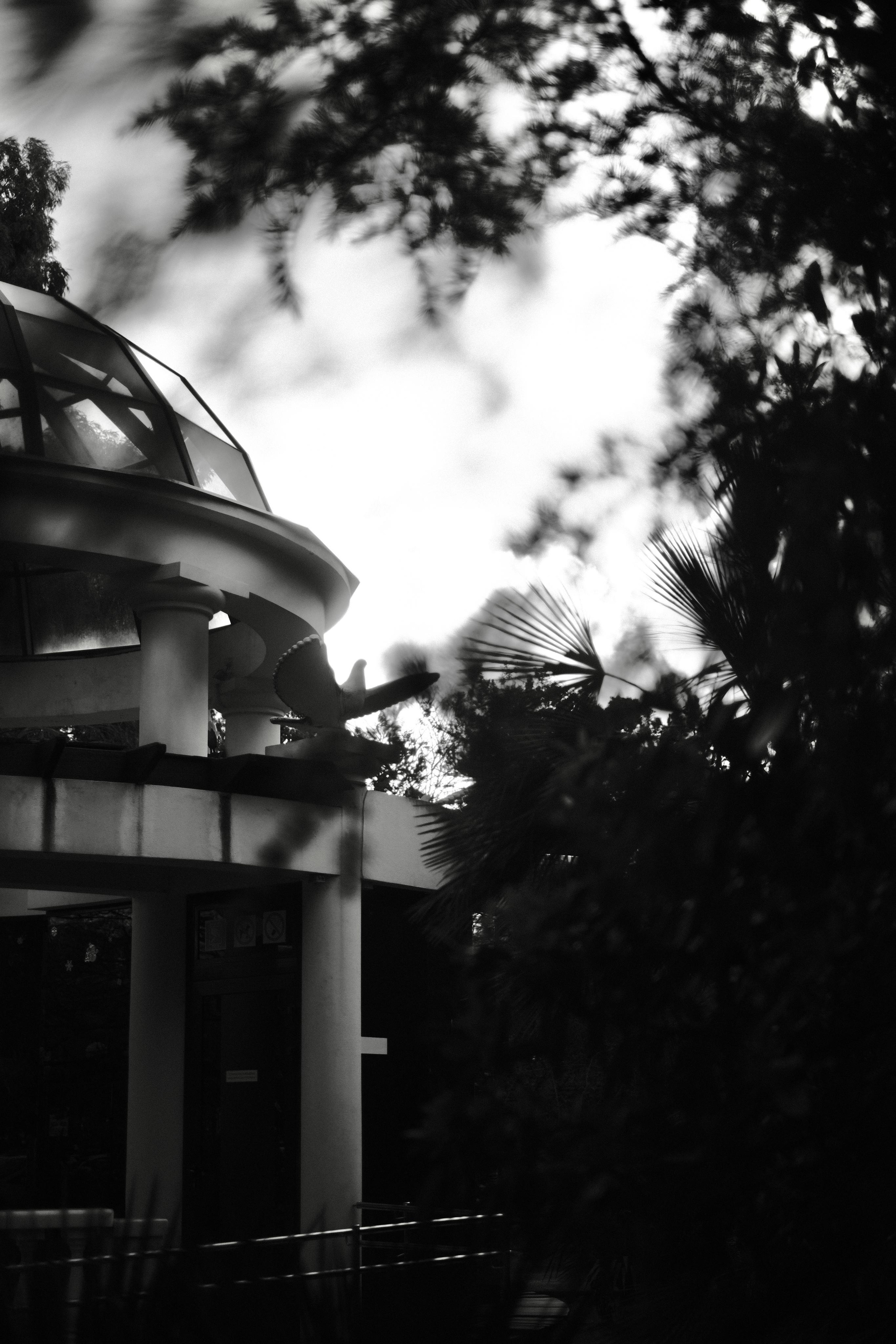 Сочи. Фотограф-психолог, стильная контентная и портретная съемка в Москве