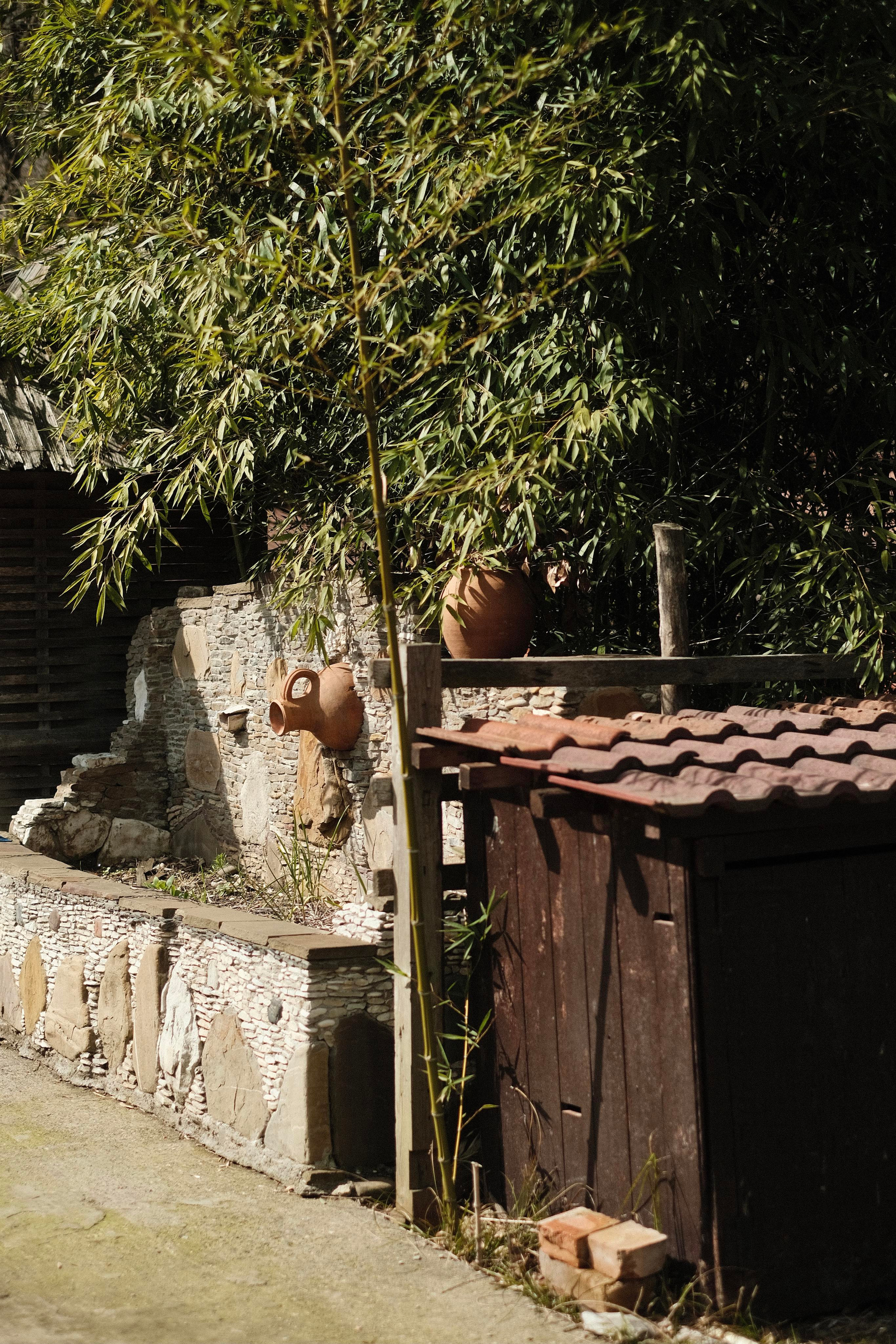 Сочи. Фотограф-психолог, стильная контентная и портретная съемка в Москве