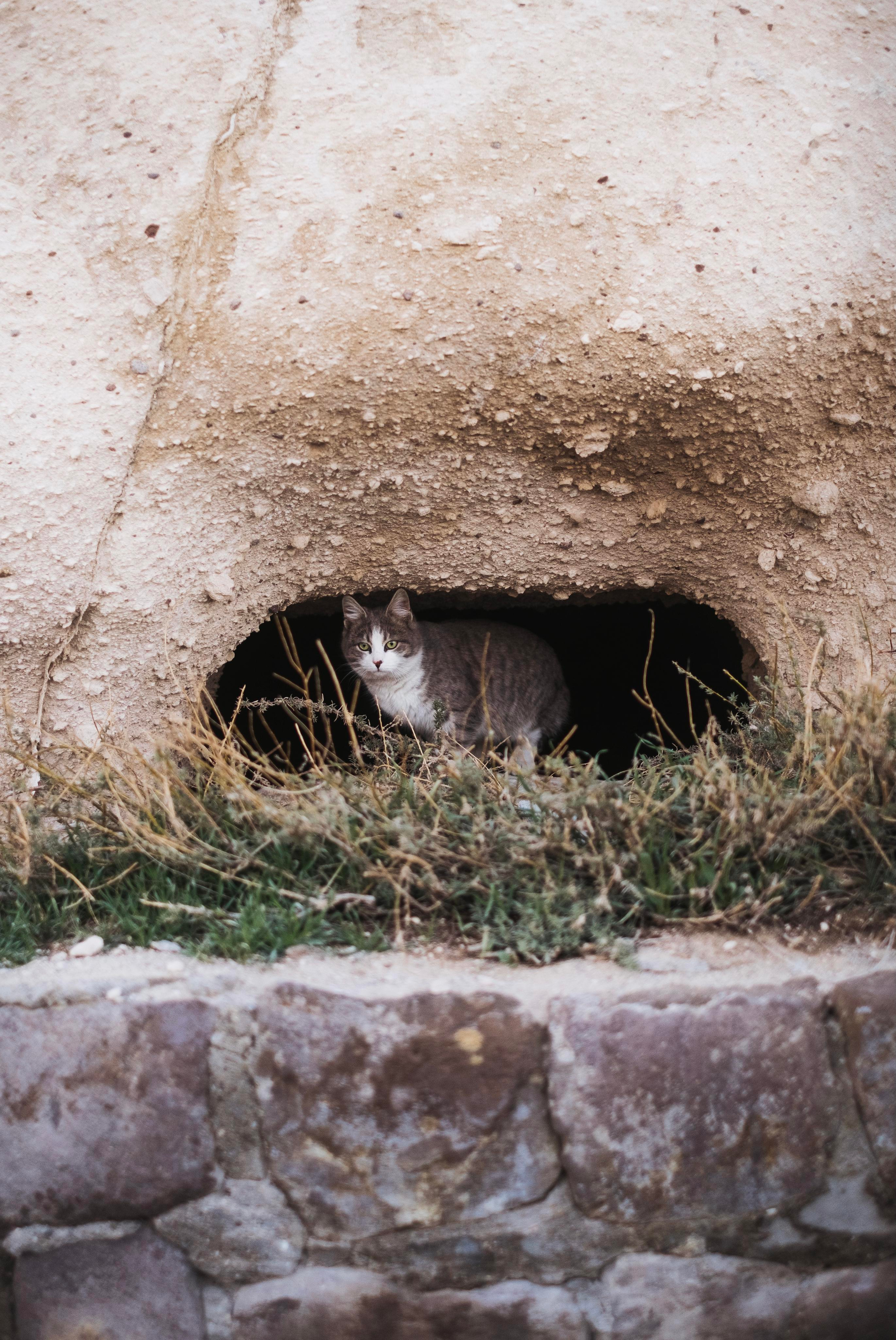 Каппадокия. Фотограф-психолог, стильная контентная и портретная съемка в Москве