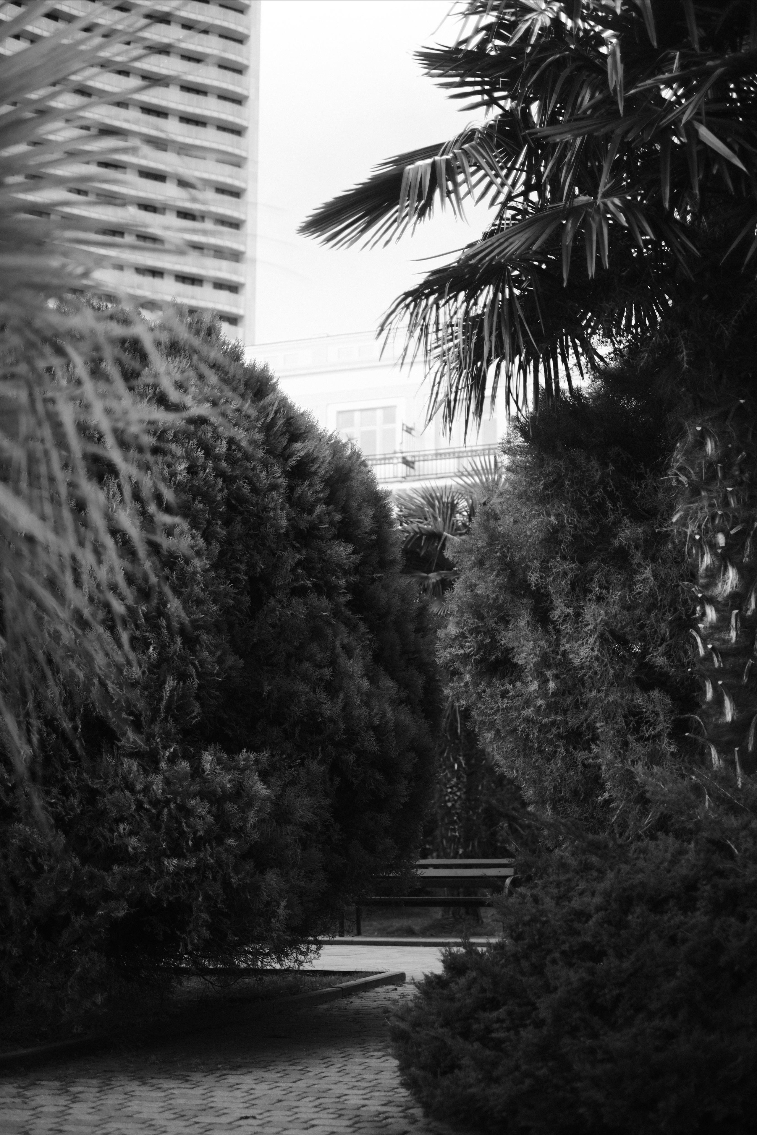 Сочи. Фотограф-психолог, стильная контентная и портретная съемка в Москве