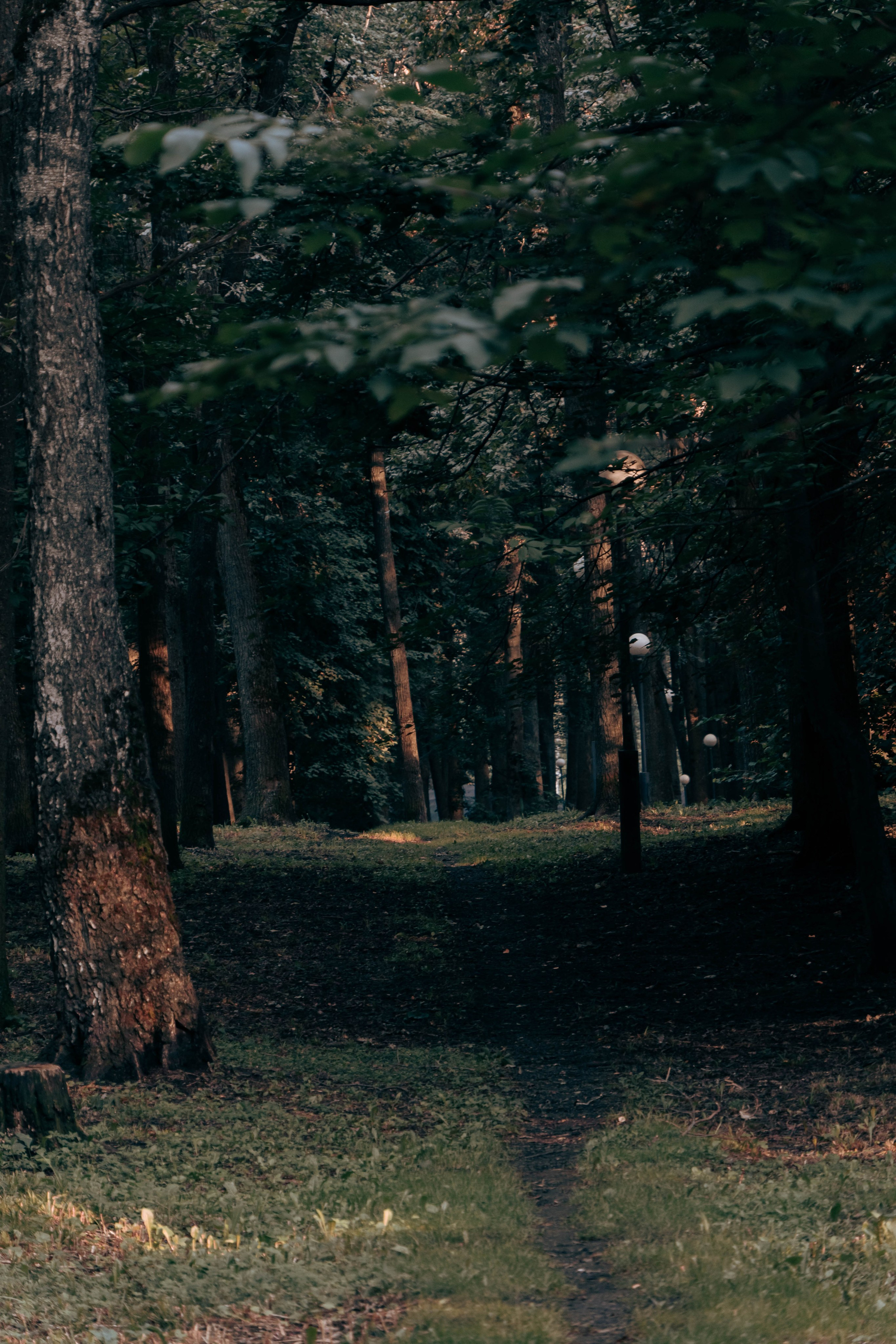 Архитектура и природа. Главная