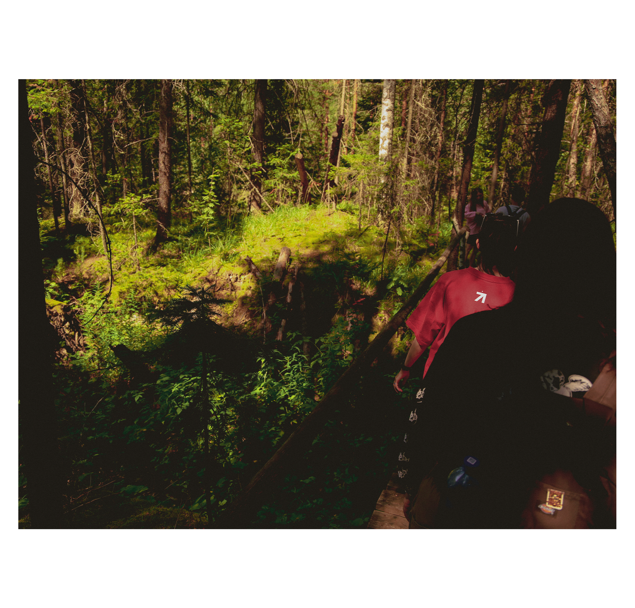 Summer hike. Фотограф/дизайнер в Екатеринбурге Хитрый Дмитрий