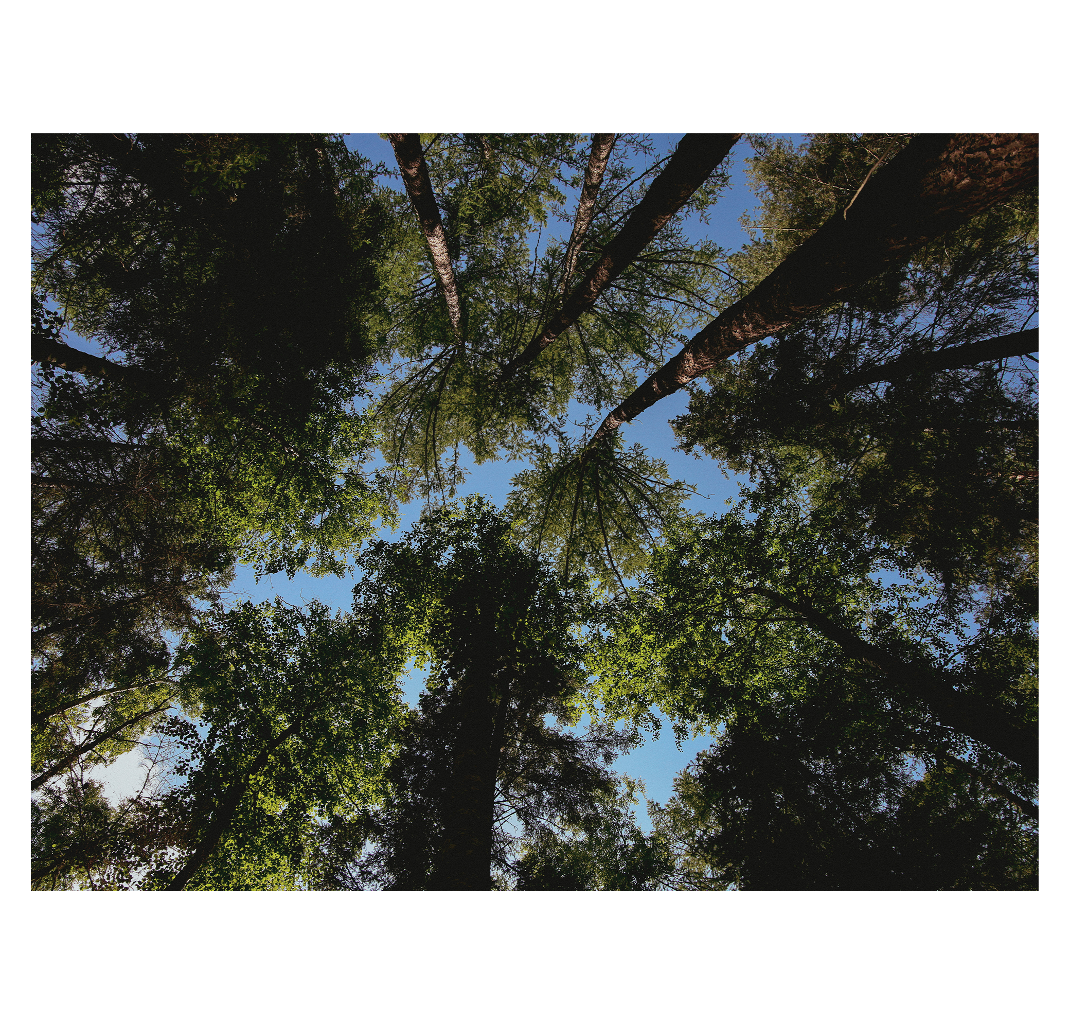 Summer hike. Фотограф/дизайнер в Екатеринбурге Хитрый Дмитрий