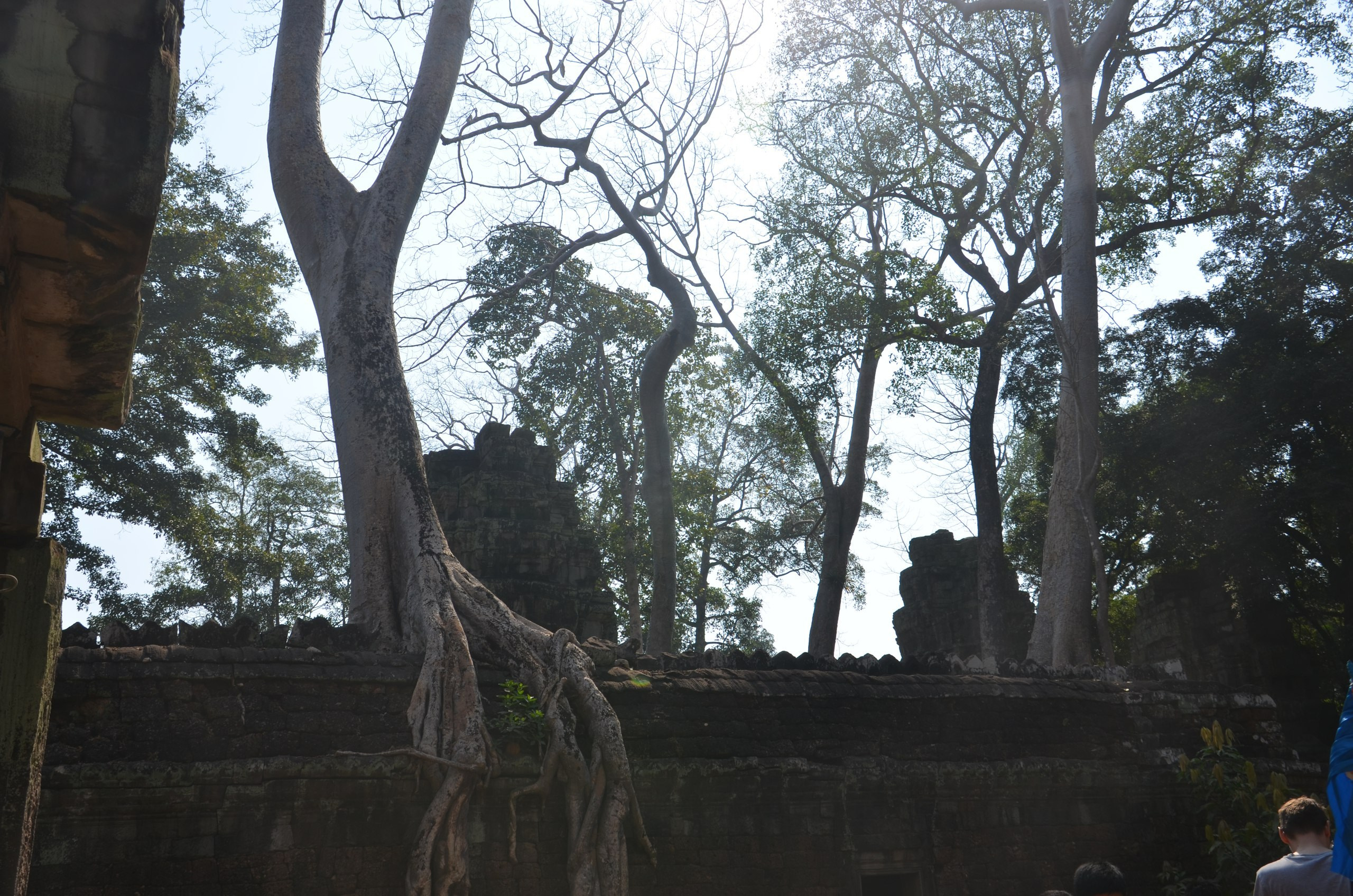 Таиланд |10-25.02.2018. Галерея Фантим