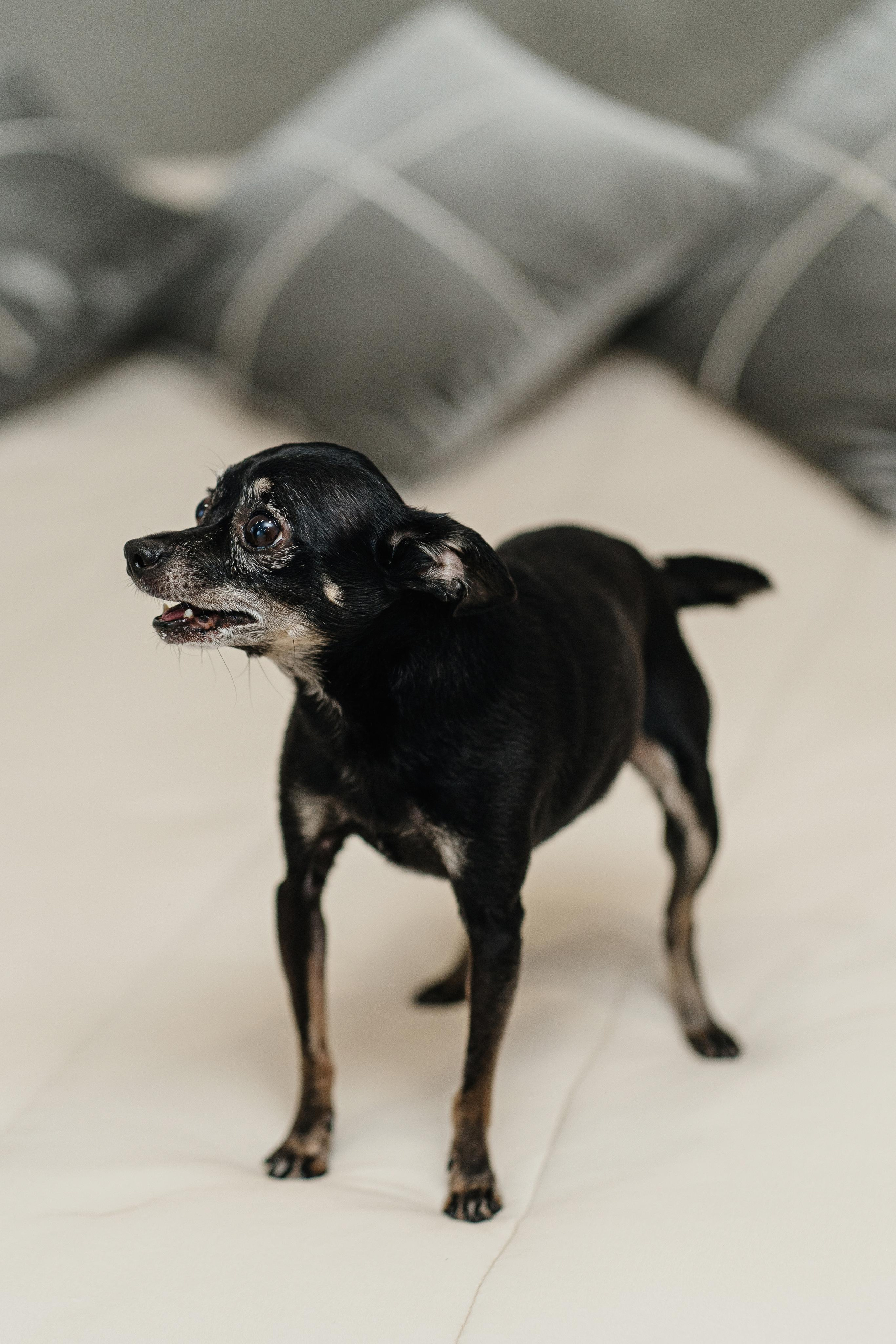 Илья и Александра. Фотограф Ян Сылка