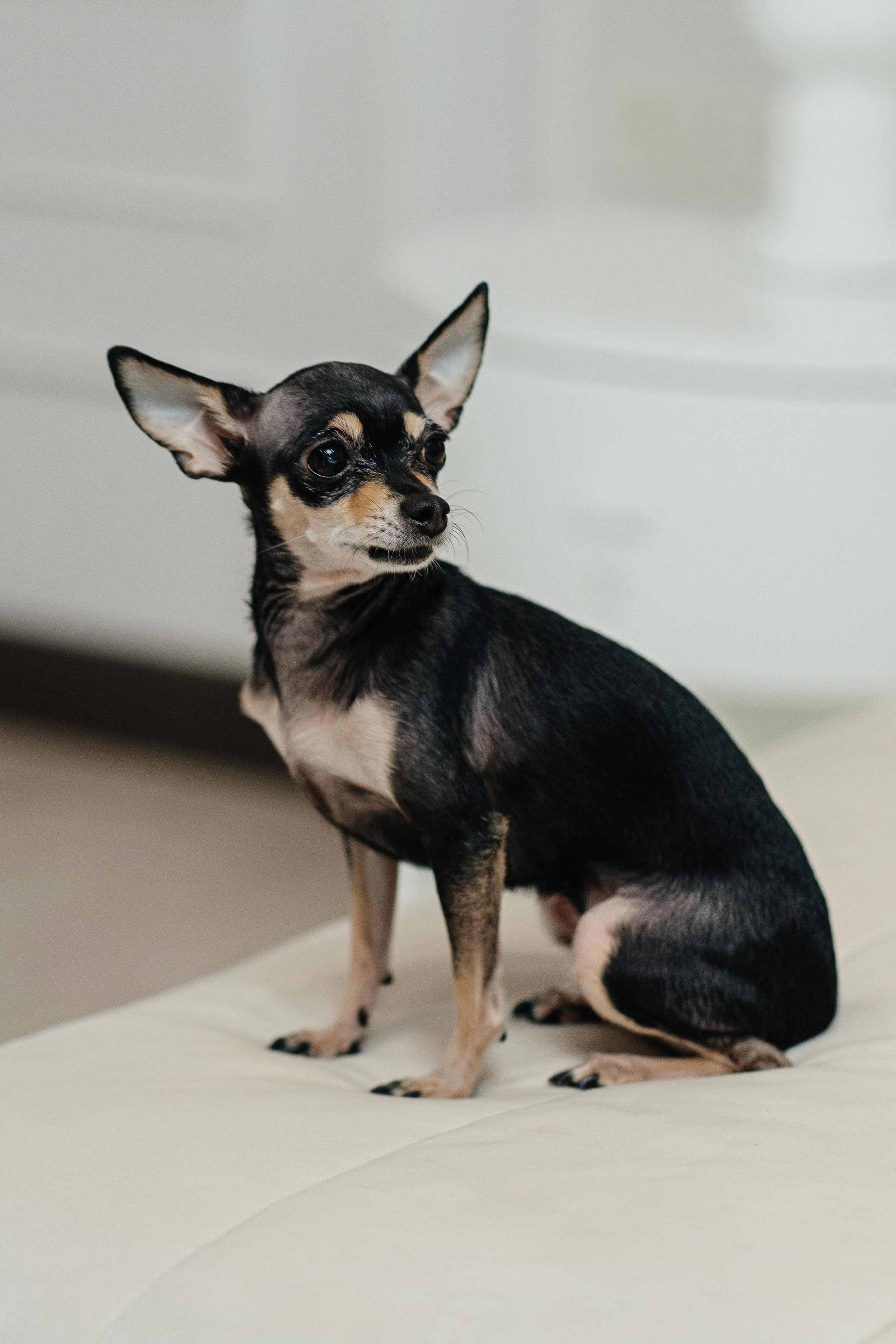 Илья и Александра. Фотограф Ян Сылка