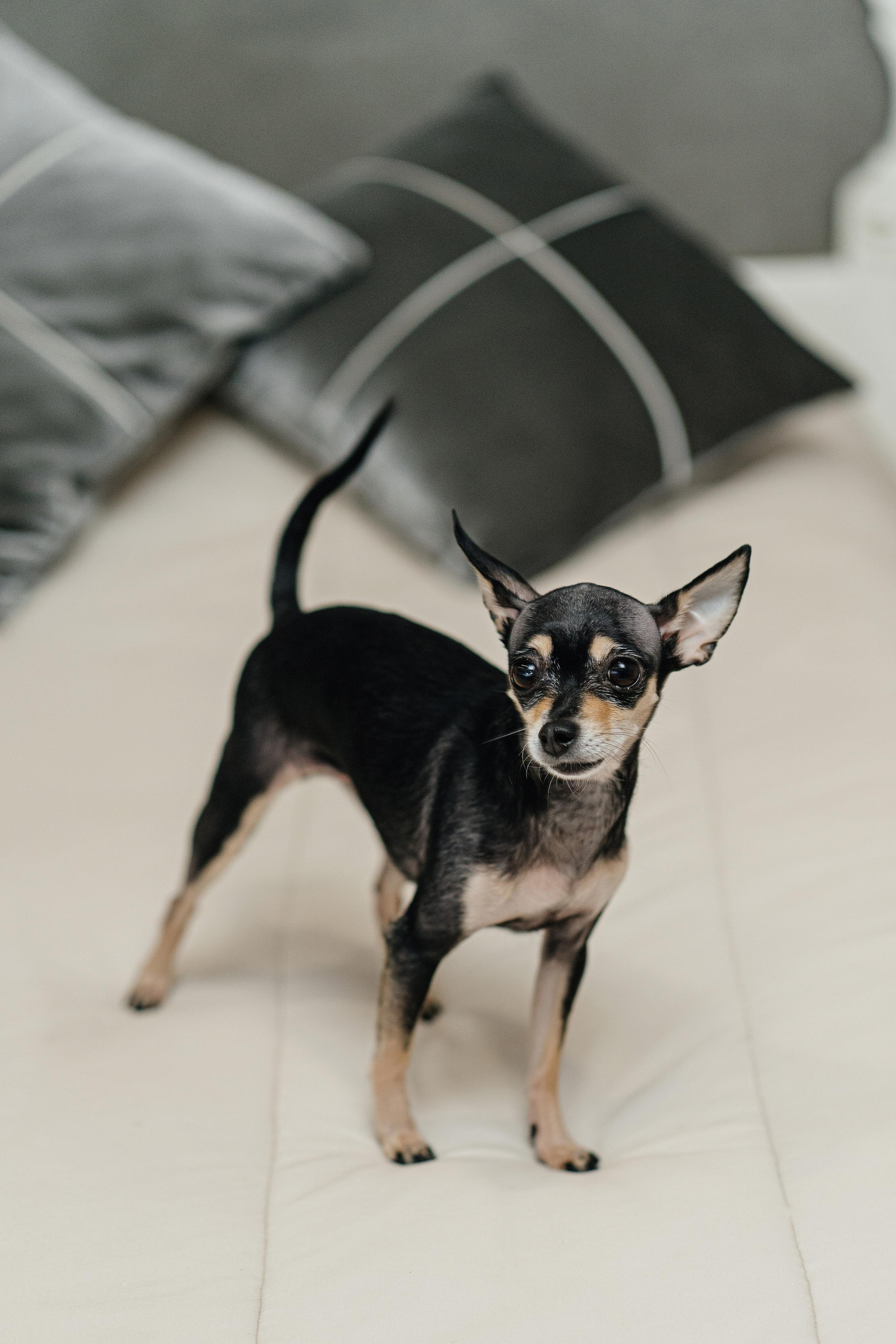 Илья и Александра. Фотограф Ян Сылка