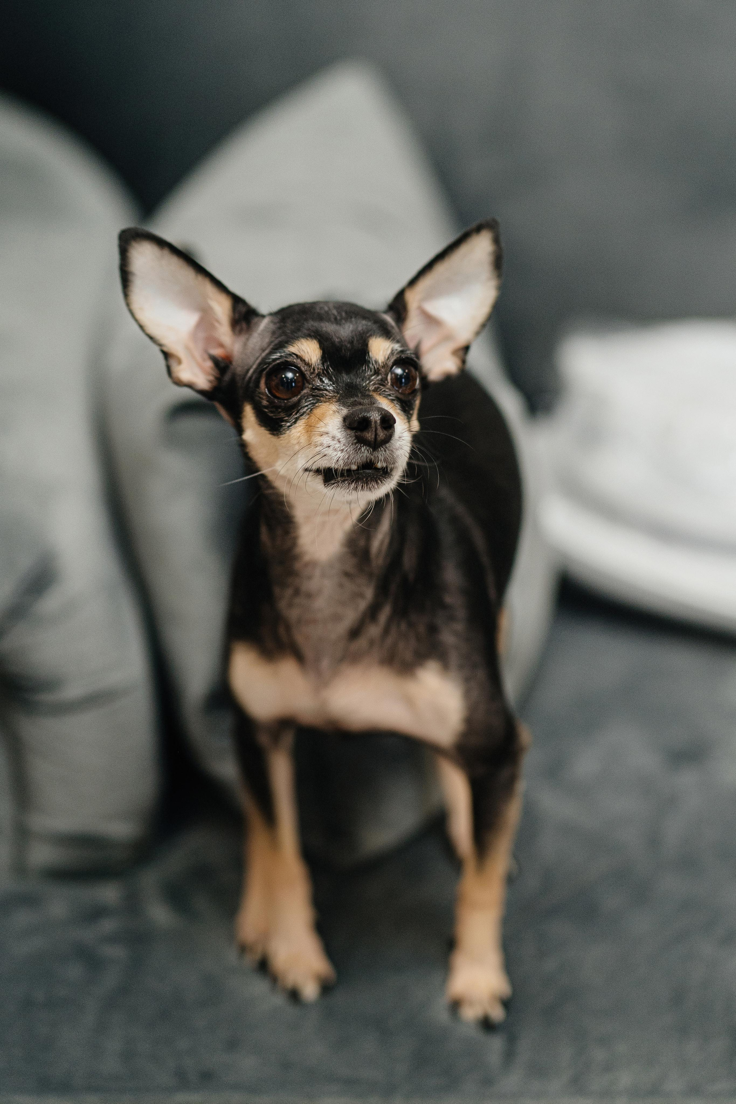 Илья и Александра. Фотограф Ян Сылка