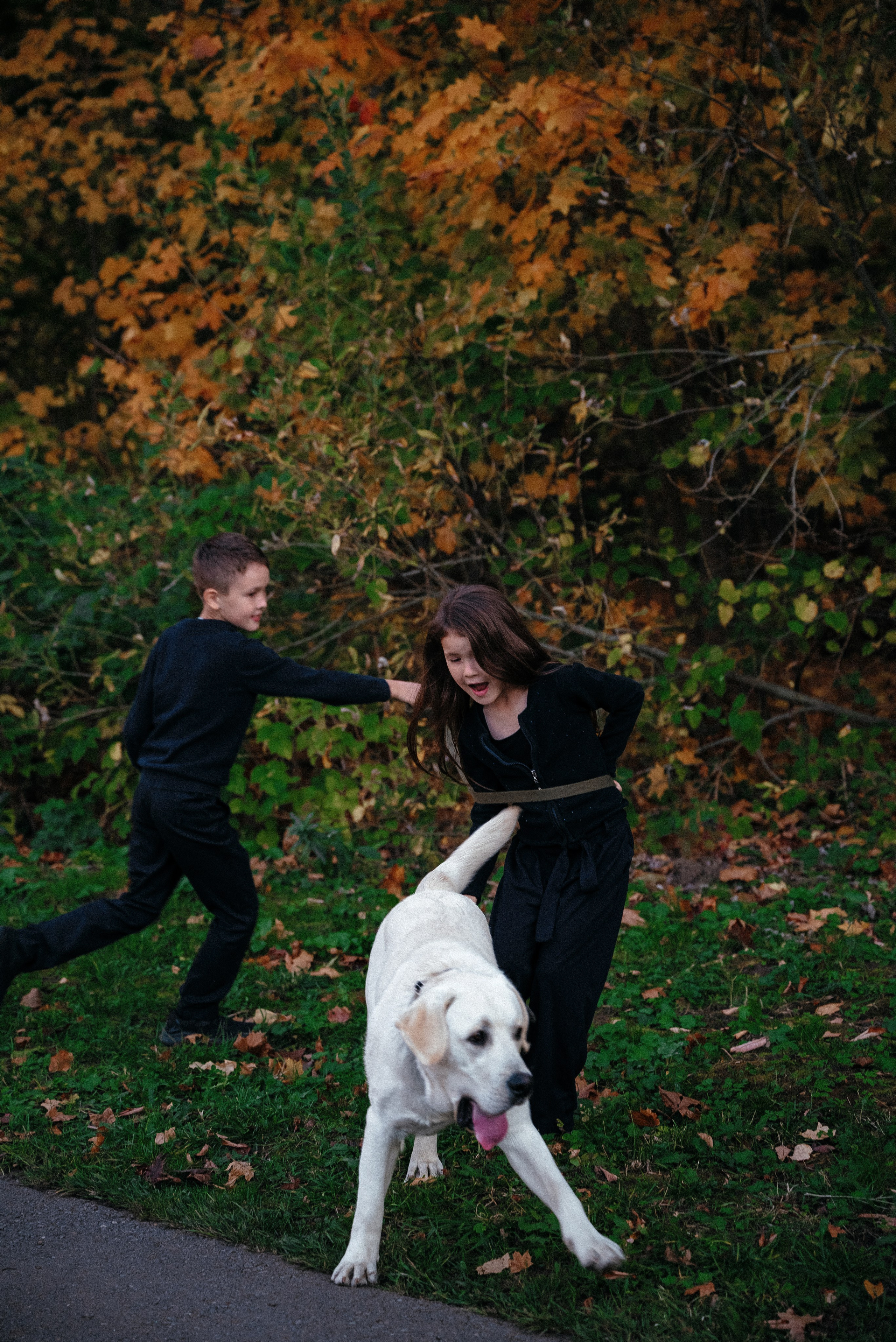 Семейные. Анна Лобанова | фотограф