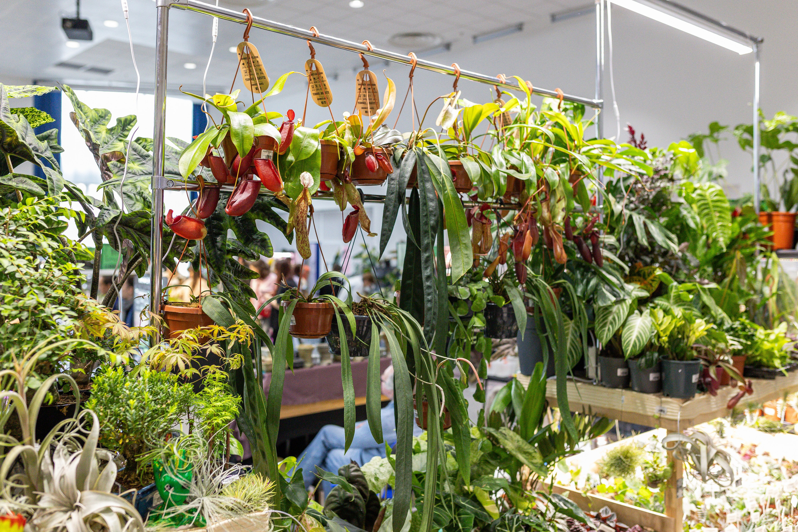 Монстериум апрель 2025. Александра Куликова фотограф, Москва