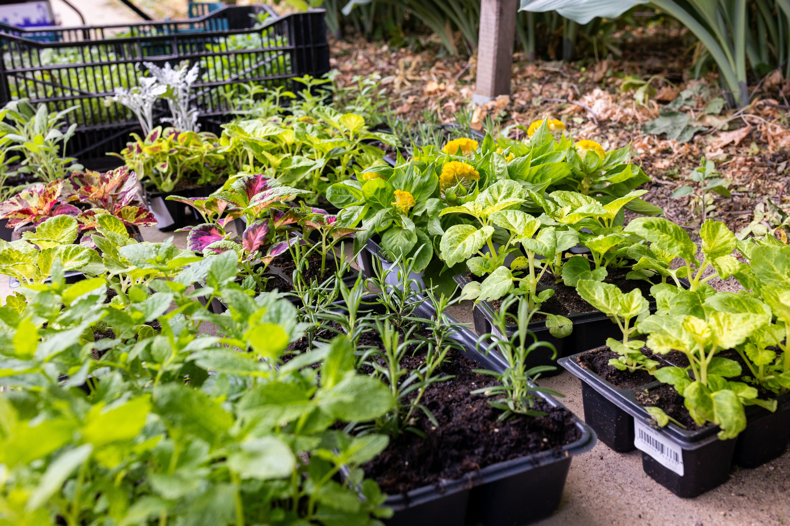 Мастер-класс от Аминосил. Александра Куликова фотограф, Москва