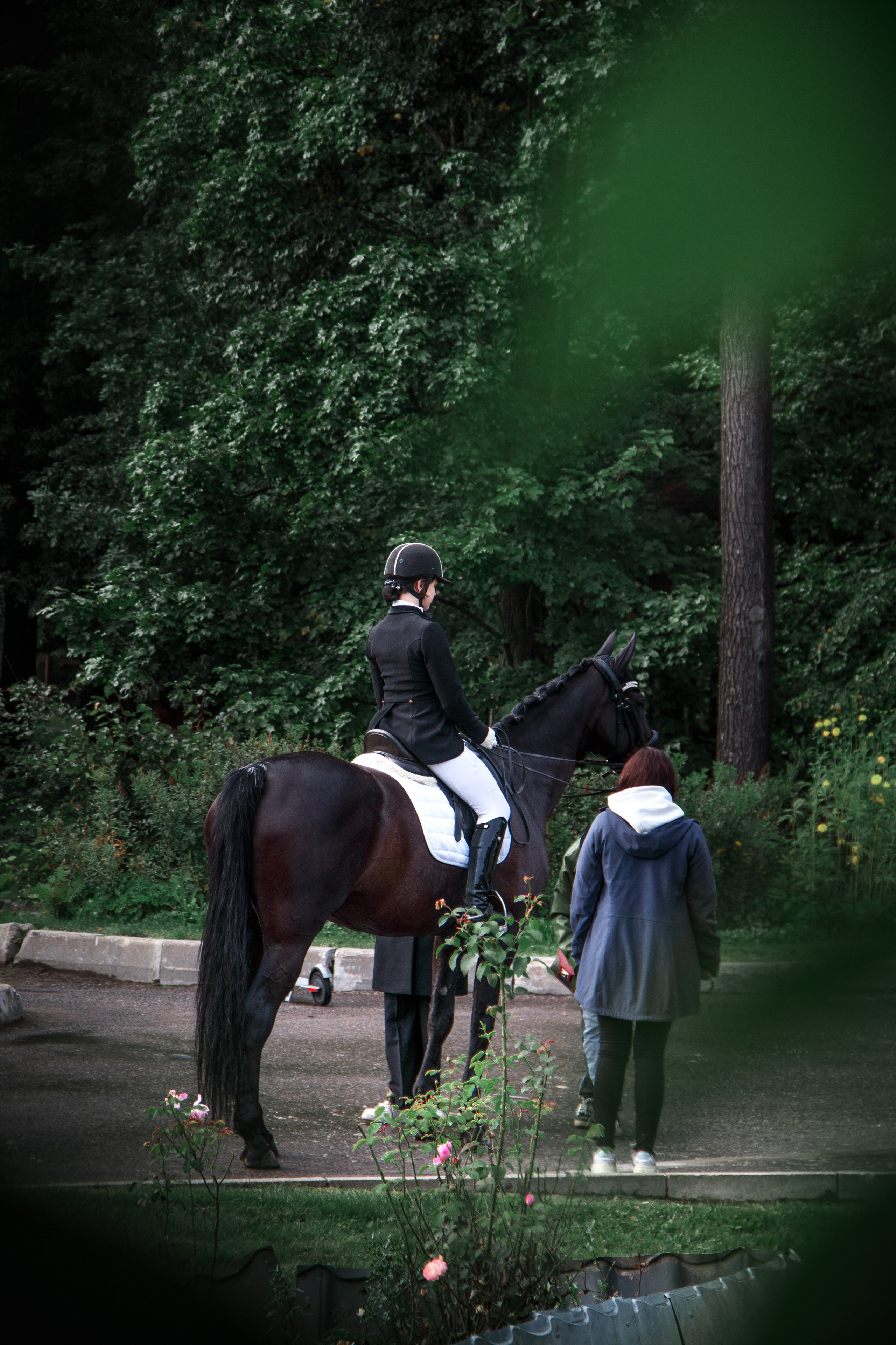 Animals. Фотограф/Видеограф