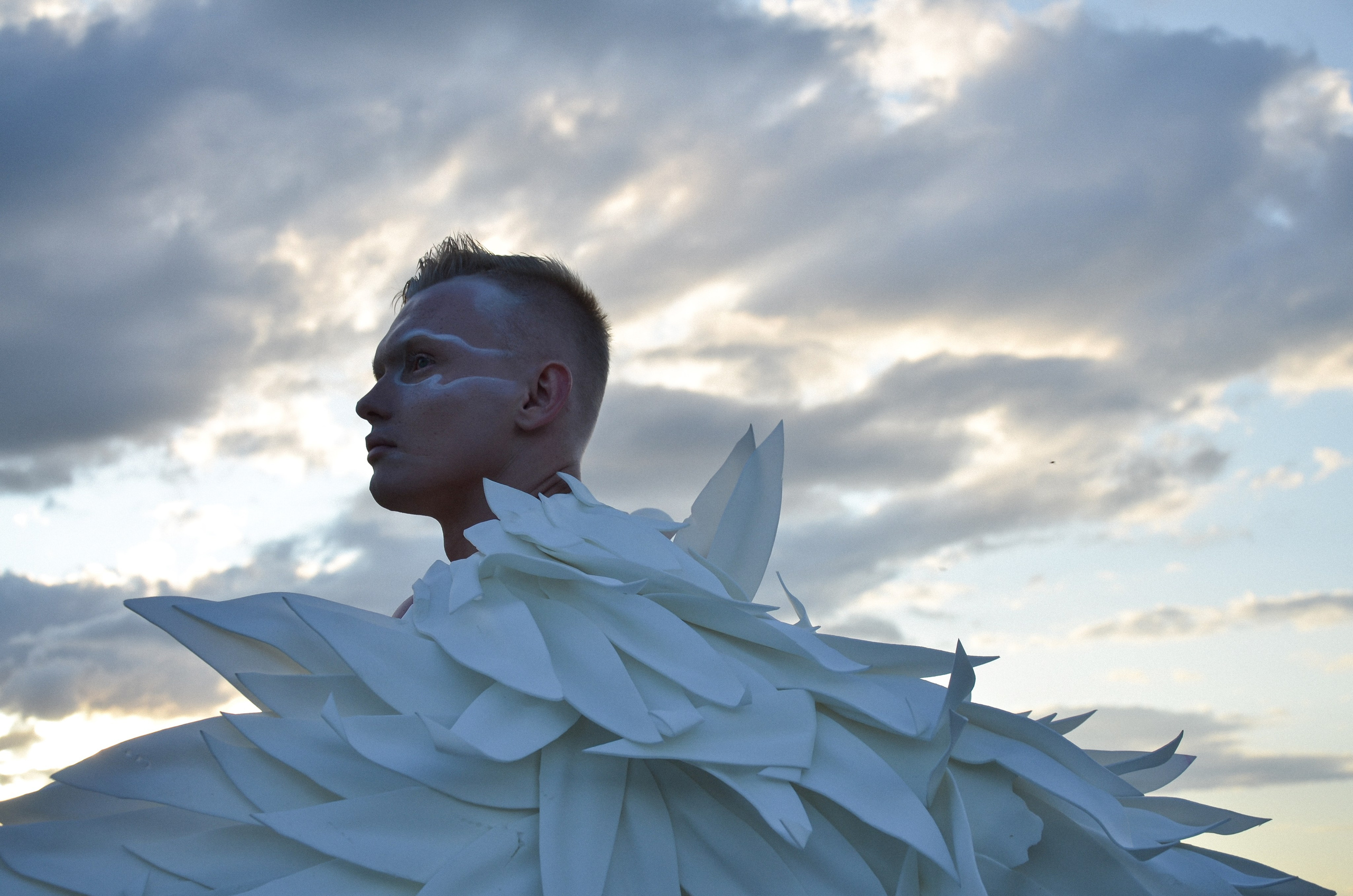 Белое и черное