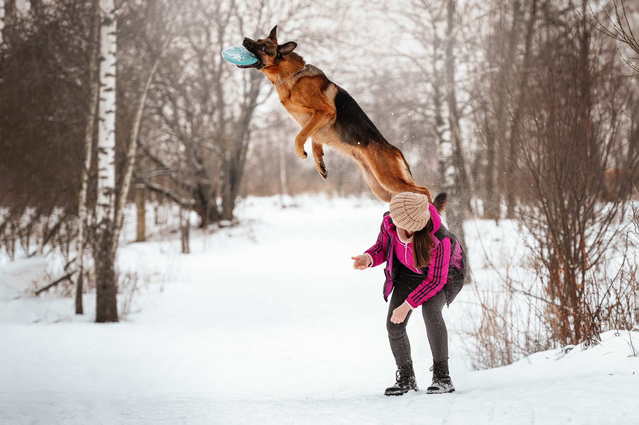 Вольт. Фотограф-анималист