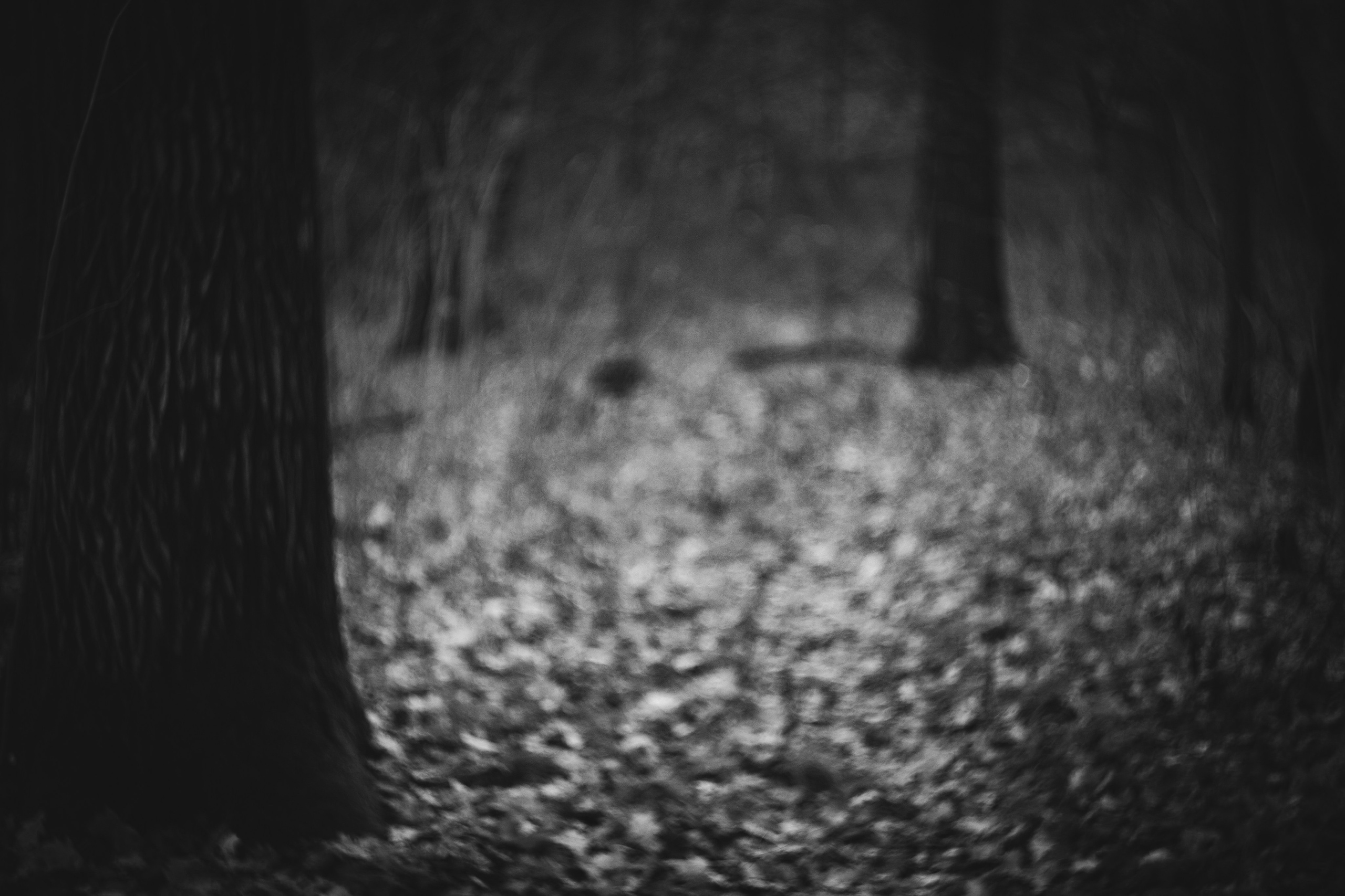 Ноябрь 2023. Efremovaphoto.ru