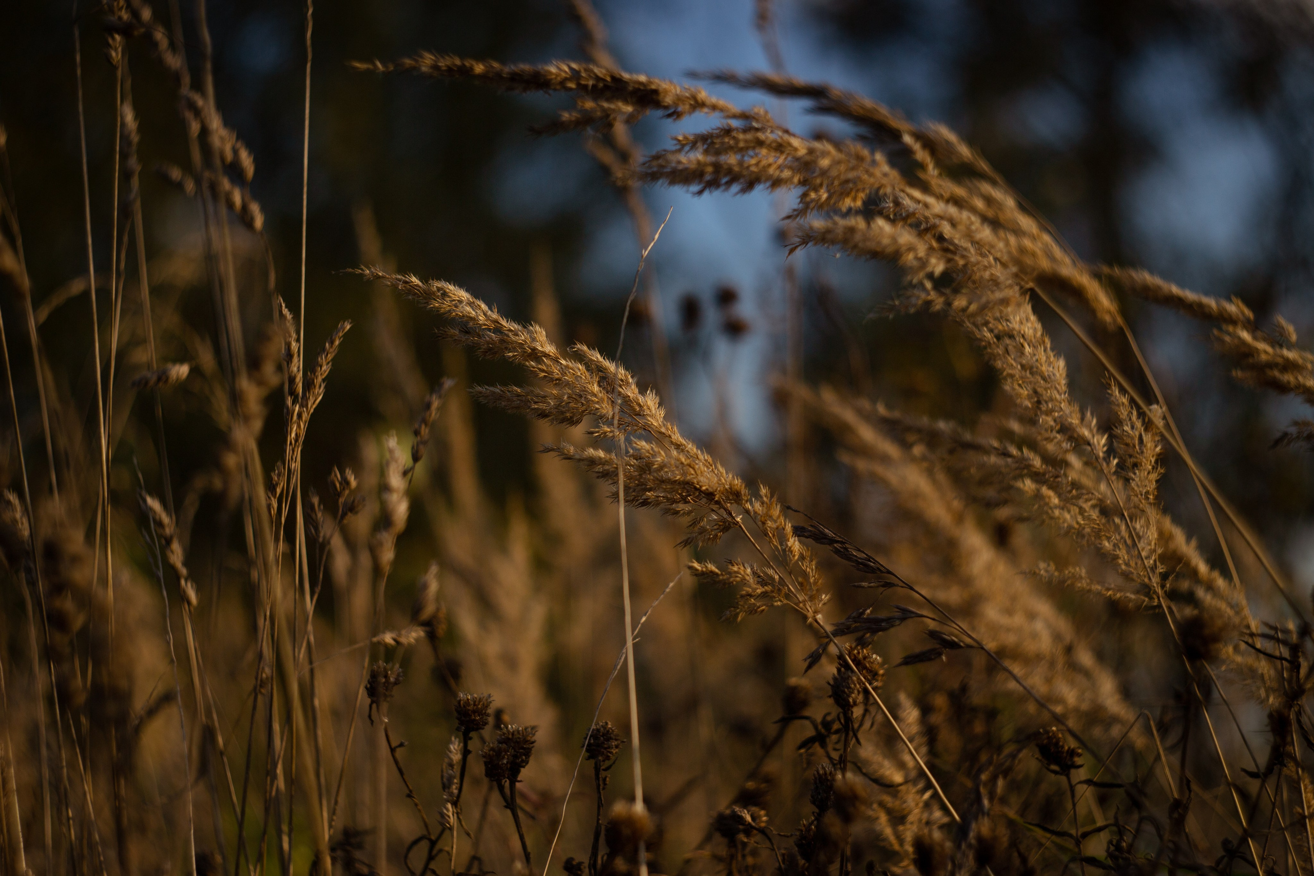 Сентябрь 2023. Efremovaphoto.ru