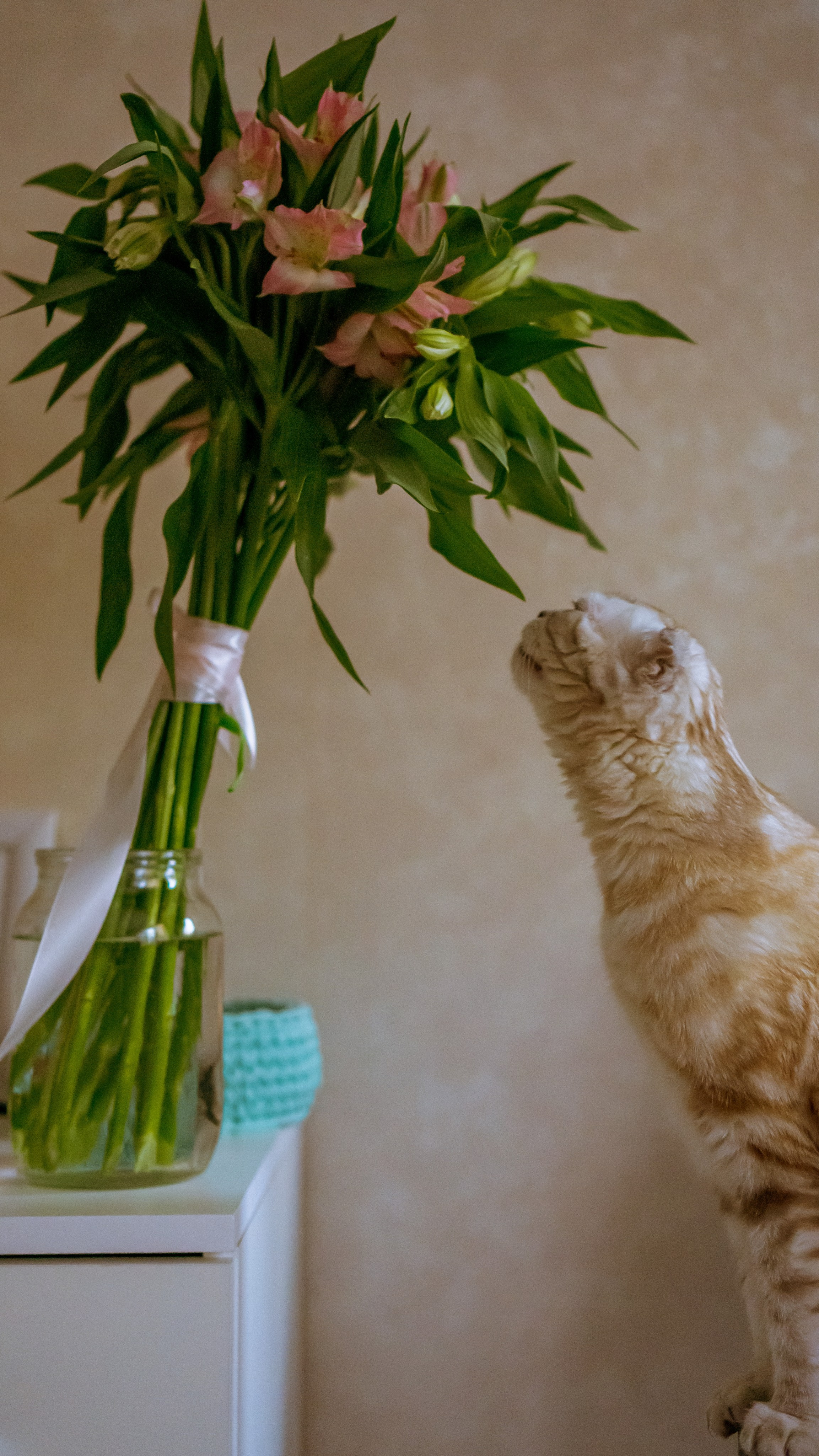 Ария. Фотограф в Кстово и Нижнем Новгороде KOLOSOK