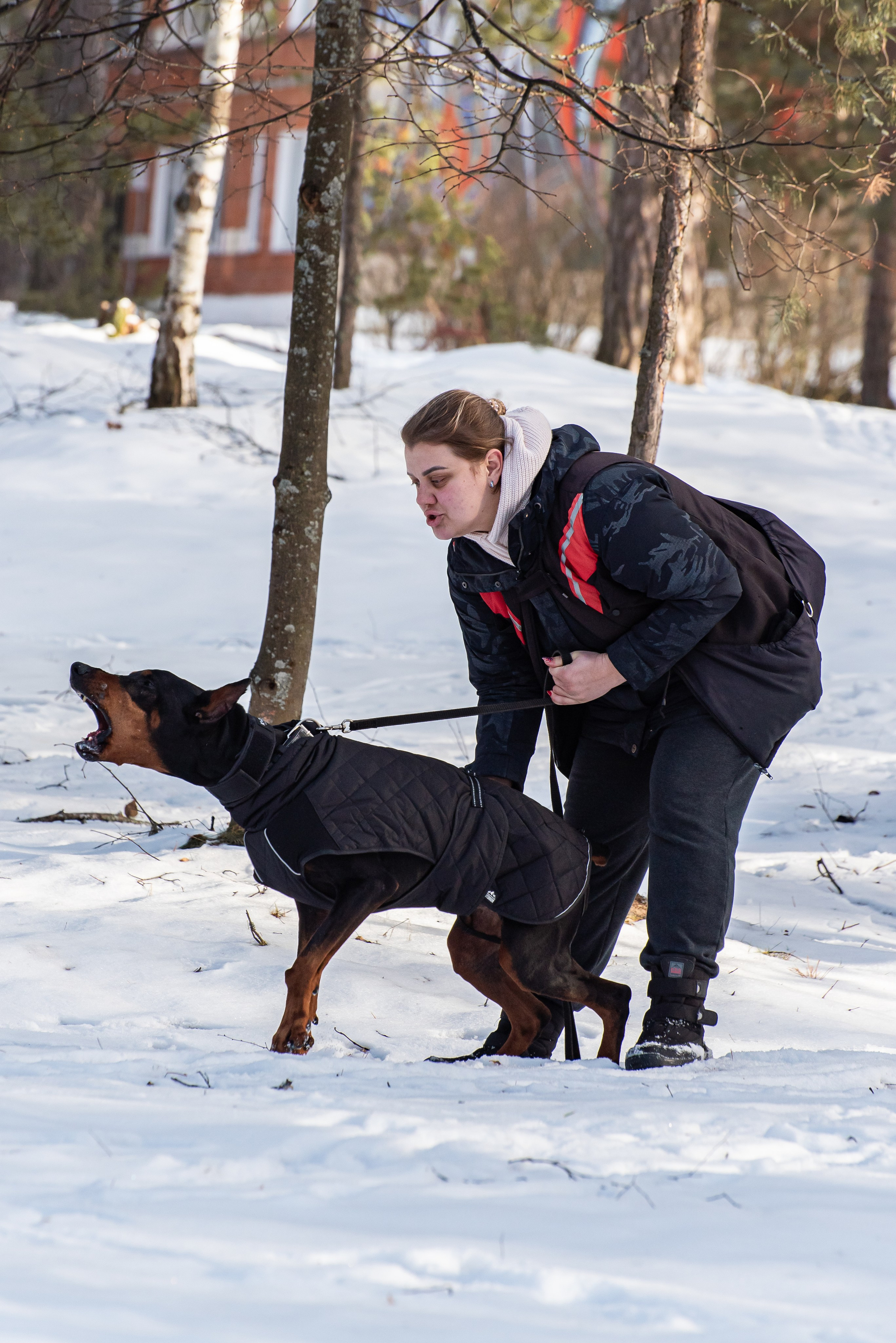 Фотосъёмка с собаками в Кинологическом лагере. Фотограф Макс Огурцов в Нижнем Новгороде