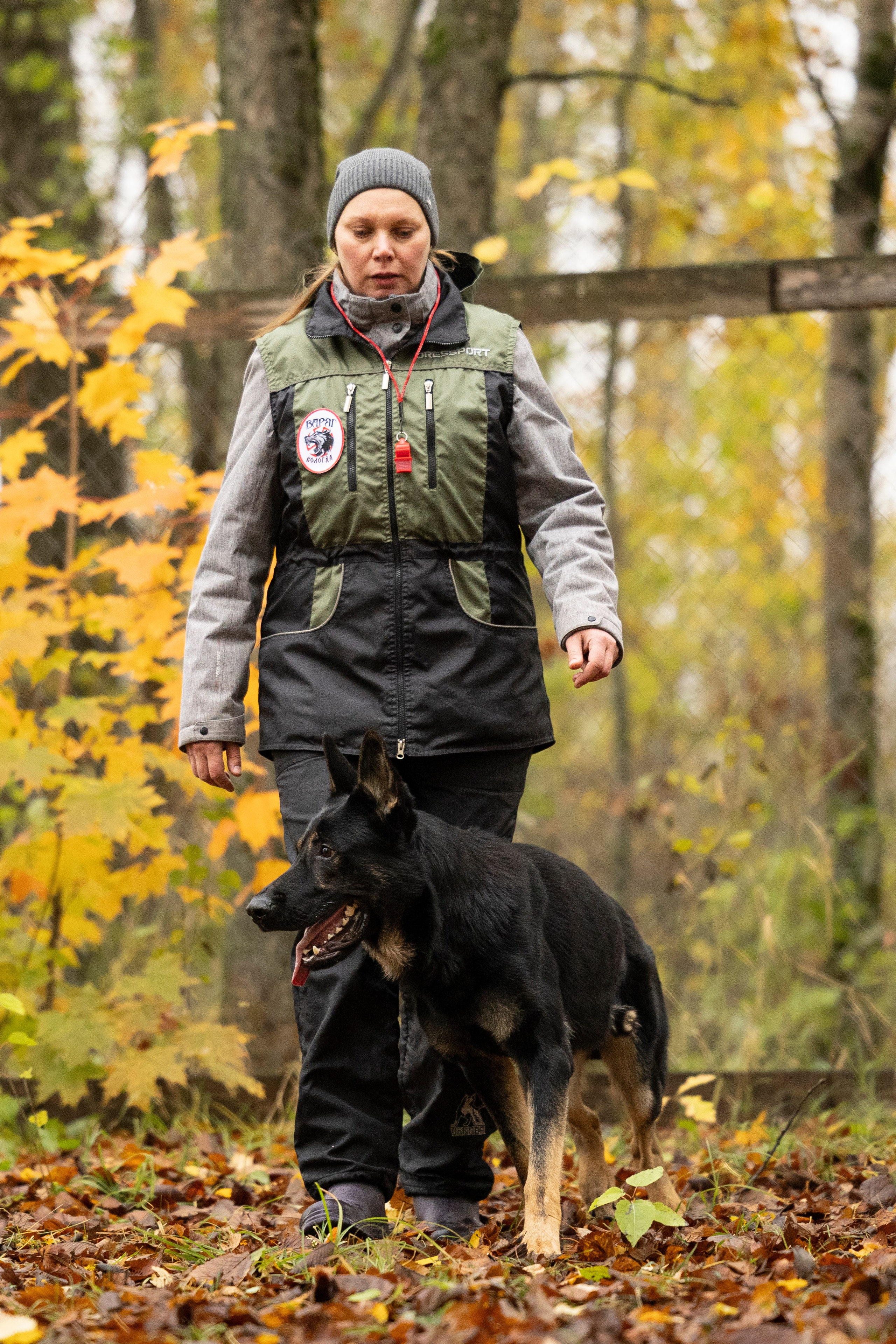Соревнования по Мондьорингу г. Вологда. Фотограф-анималист Анна Маринич