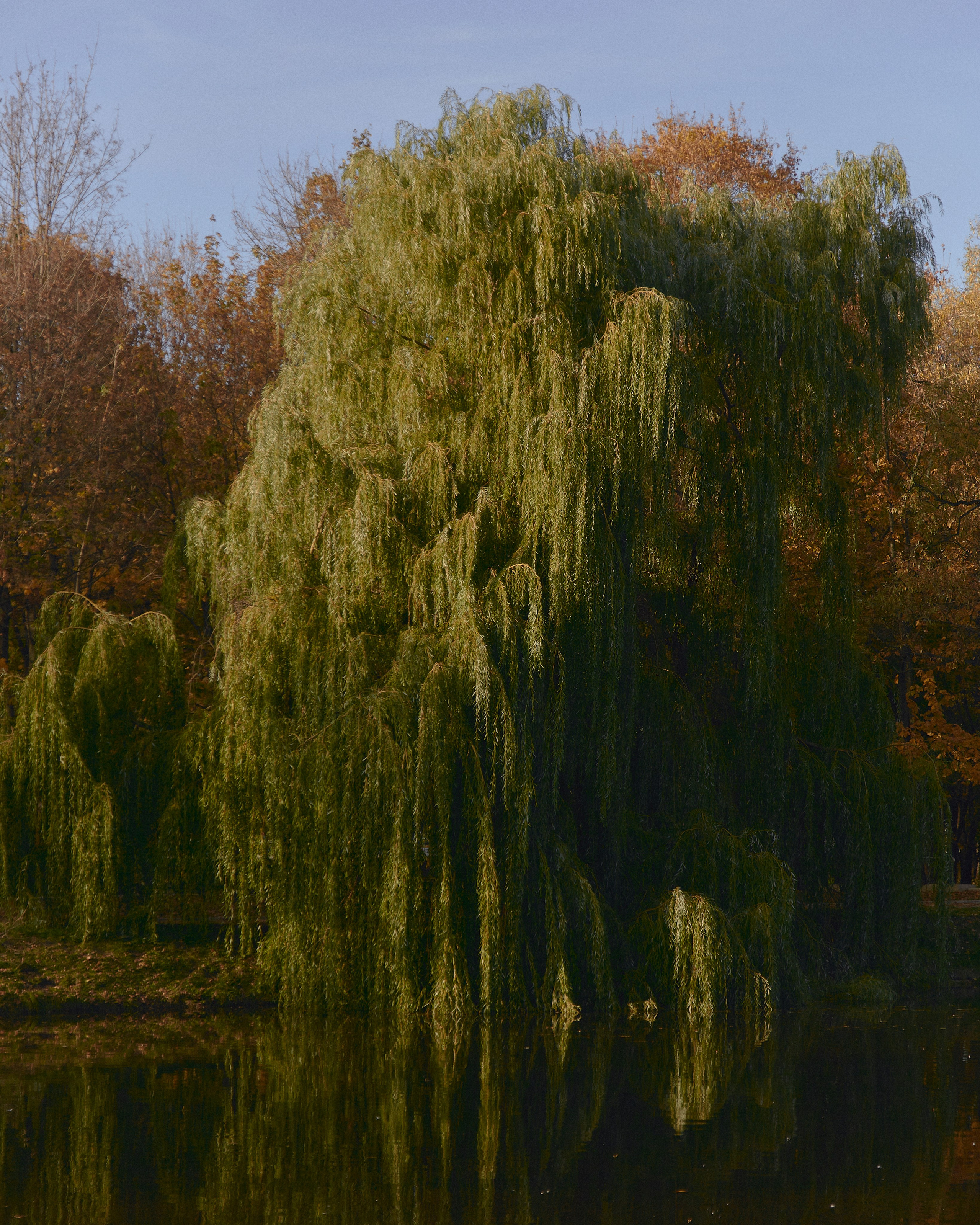 Даша Ромашка. Egor Plakhotin Photography
