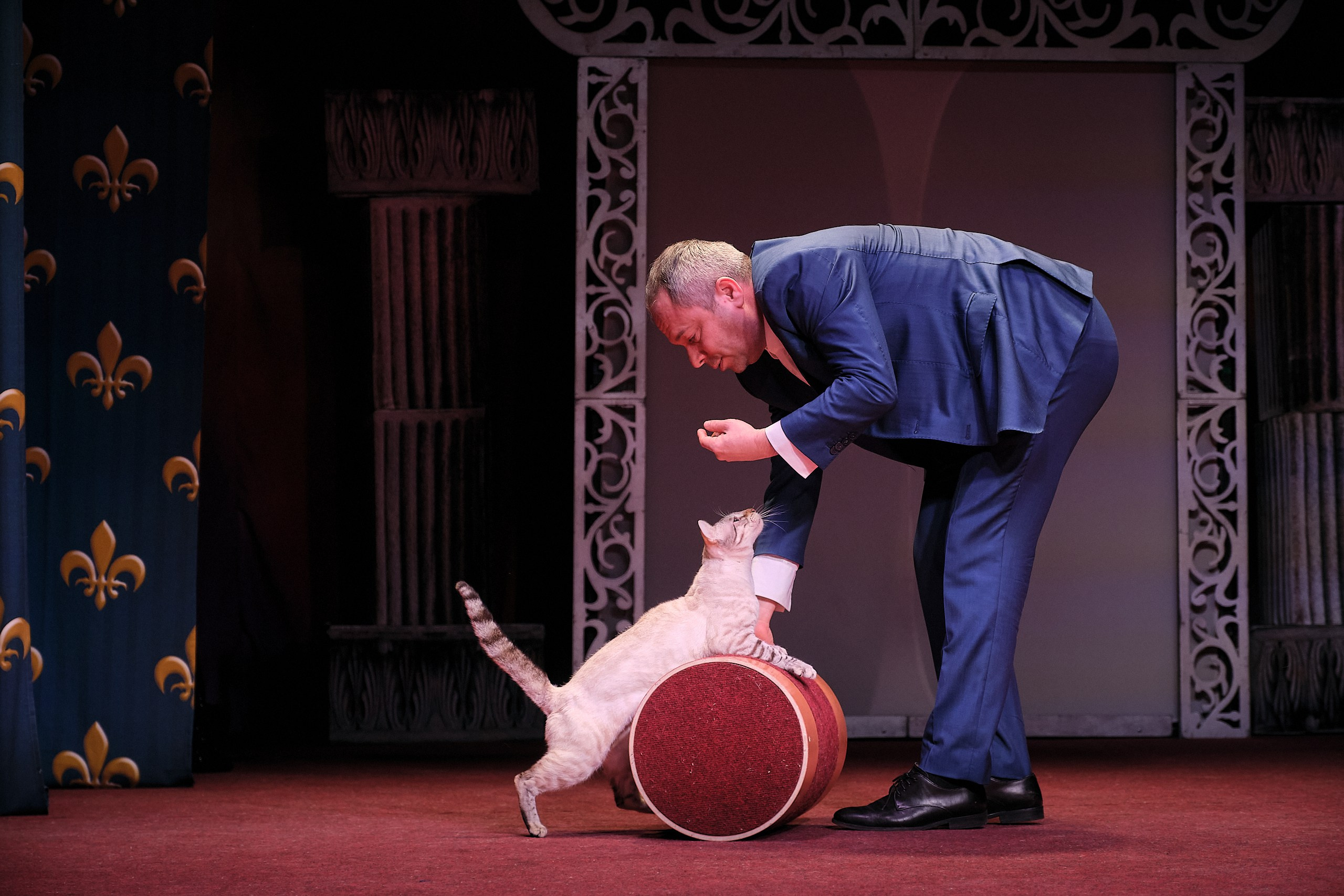 Пресс-конференция Ю.Куклачева в театре кошек