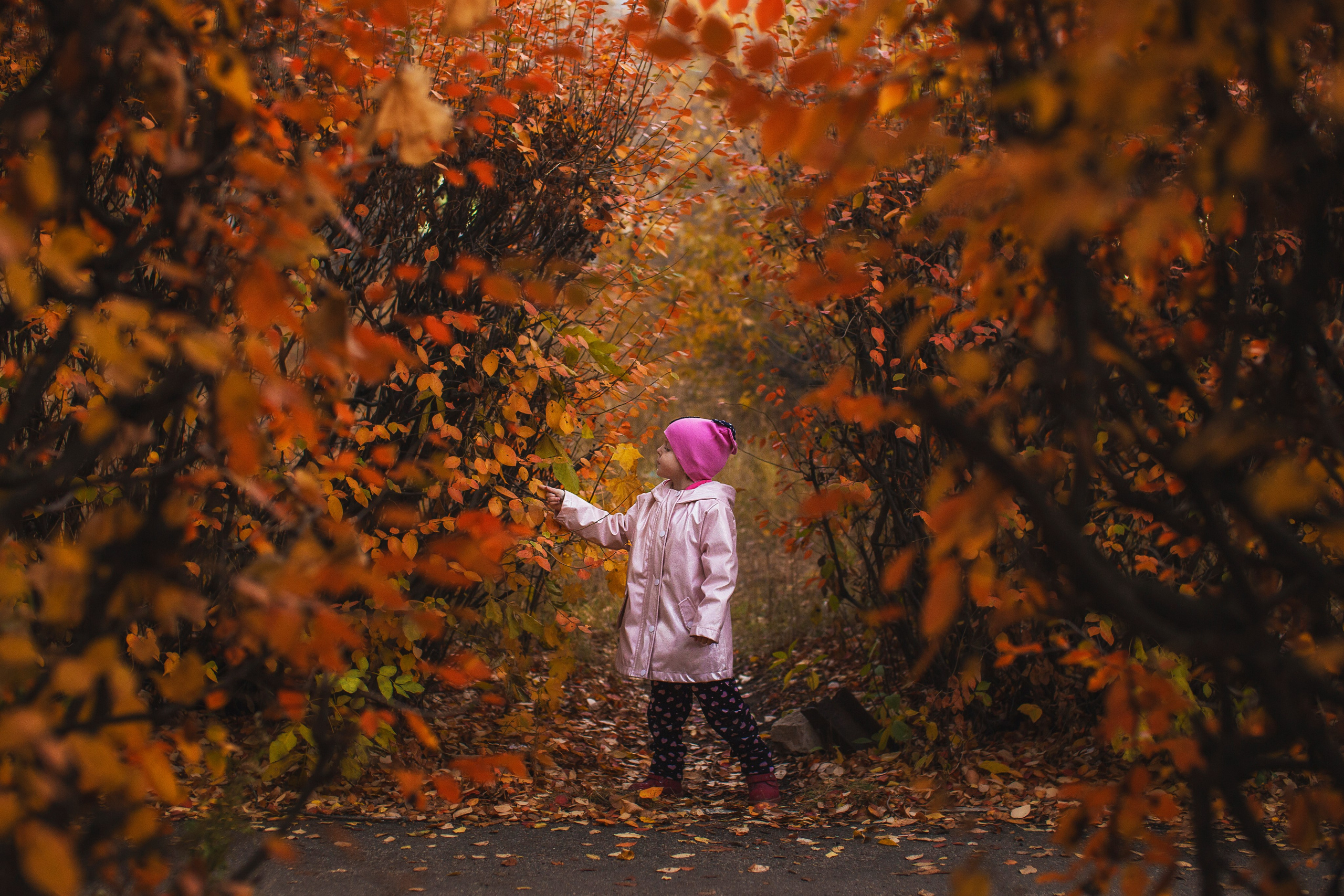 Осень. Семейный фотограф в Саратове