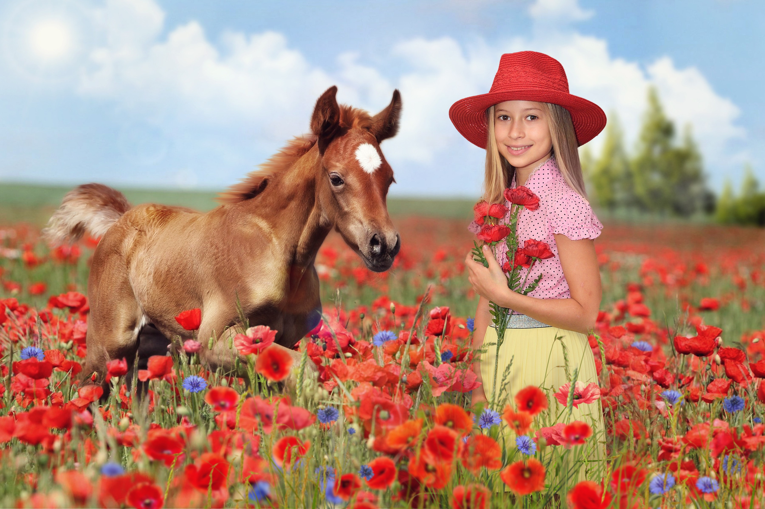 Осень 2019. Выпускные альбомы для школ и детских садов Александр и Динара