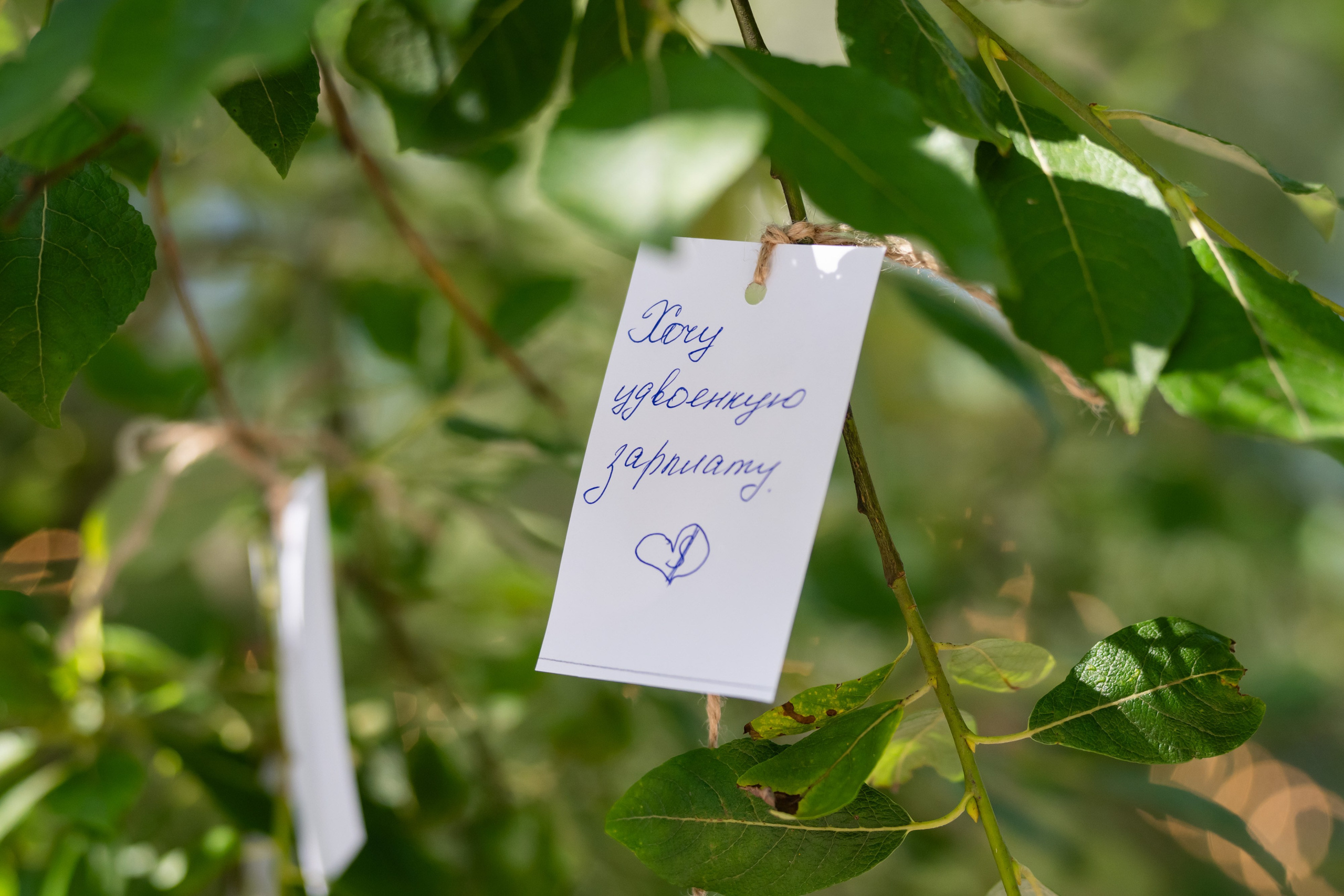 Хлебпром. Репортажный фотограф Сергей Дроздов