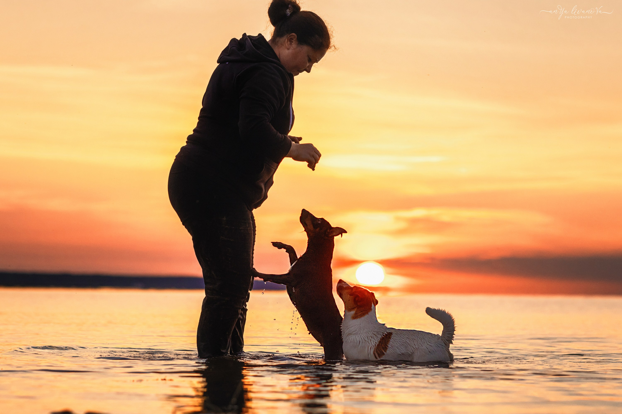 Ляля — Маня — Плюша закат. Фотограф анималист Аня Ливанова | Рыбинск