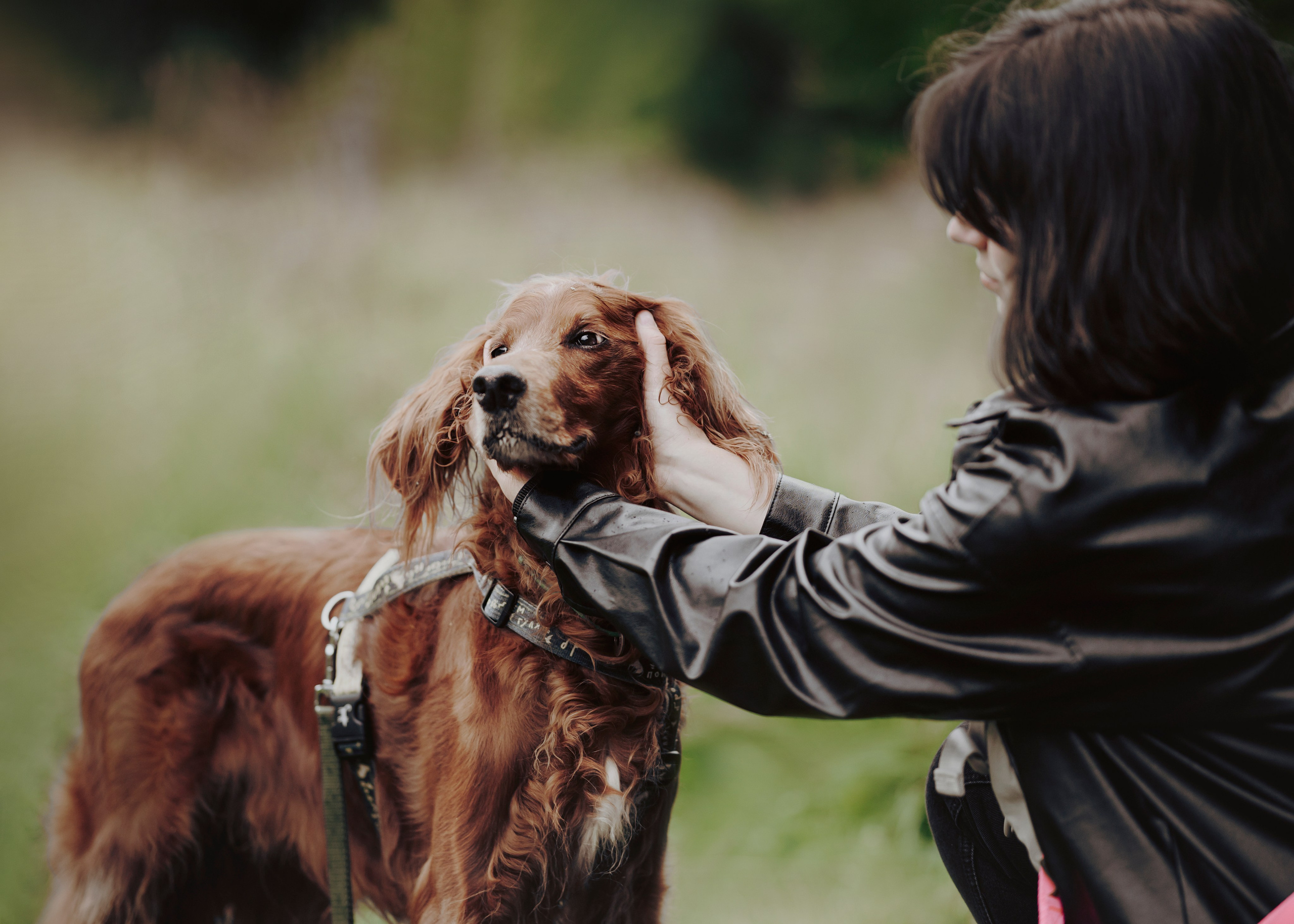 Рейн. Фотограф- анималист Александра Матвеева