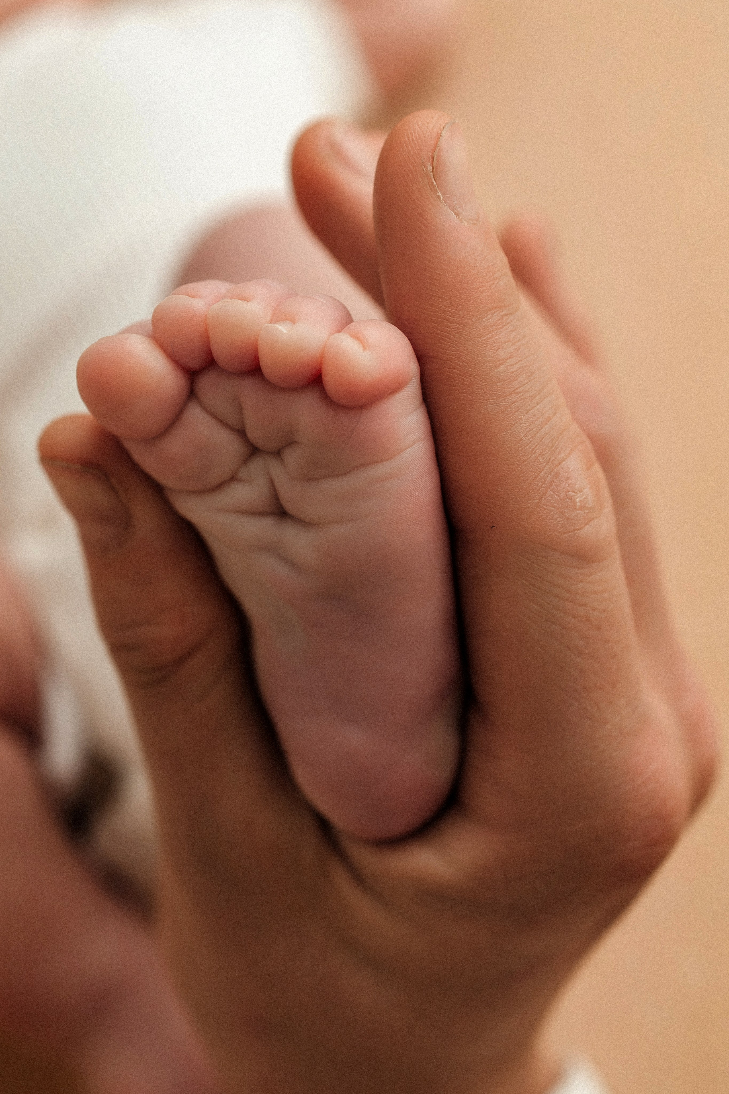 ПАКЕТ «Simple». Главная