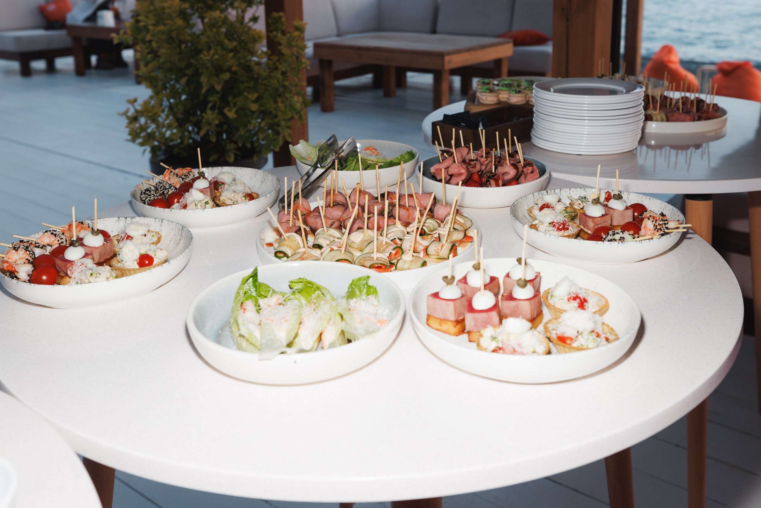 31.05.2025 TROPICAL DISCO BIRTHDAY PARTY. ProVizArt