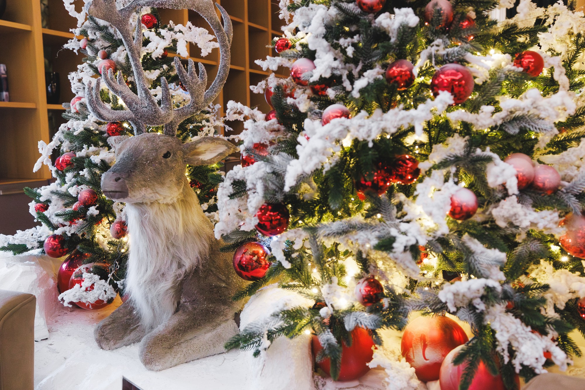 31.12.2024 Новый год в Marriott. ProVizArt