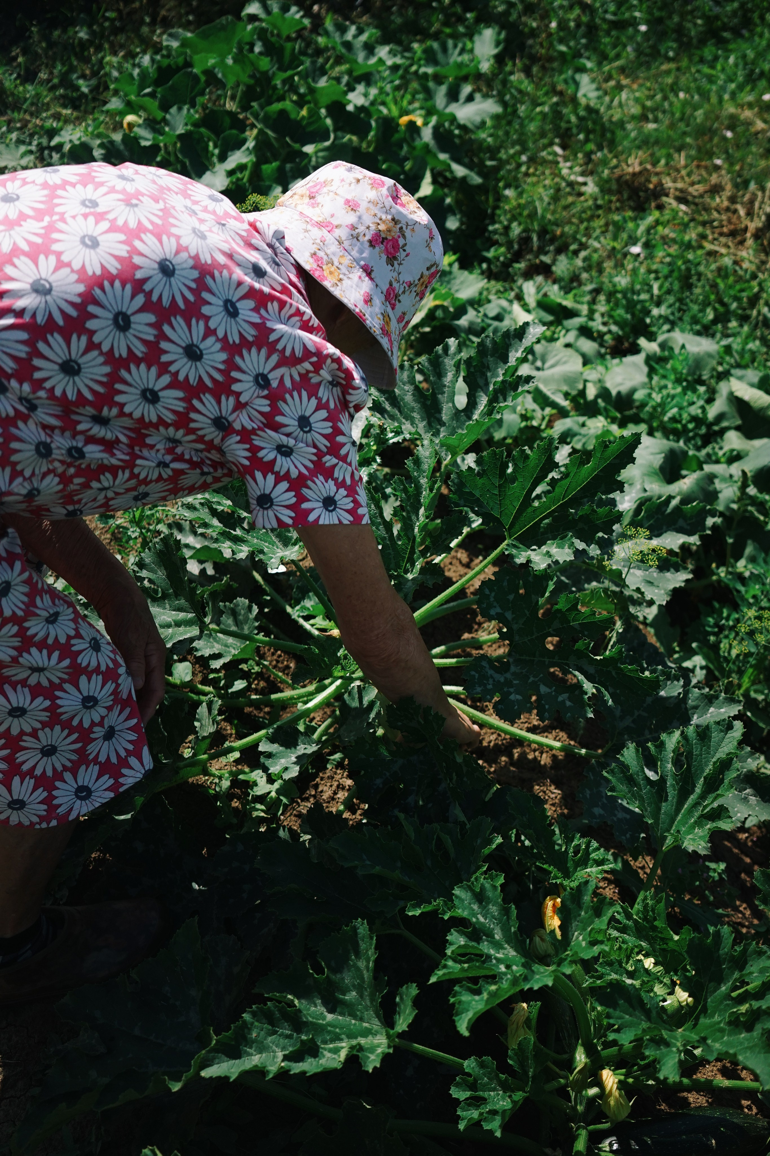 Бабушка. Ксения Копна. Фотограф из Санкт-Петербурга
