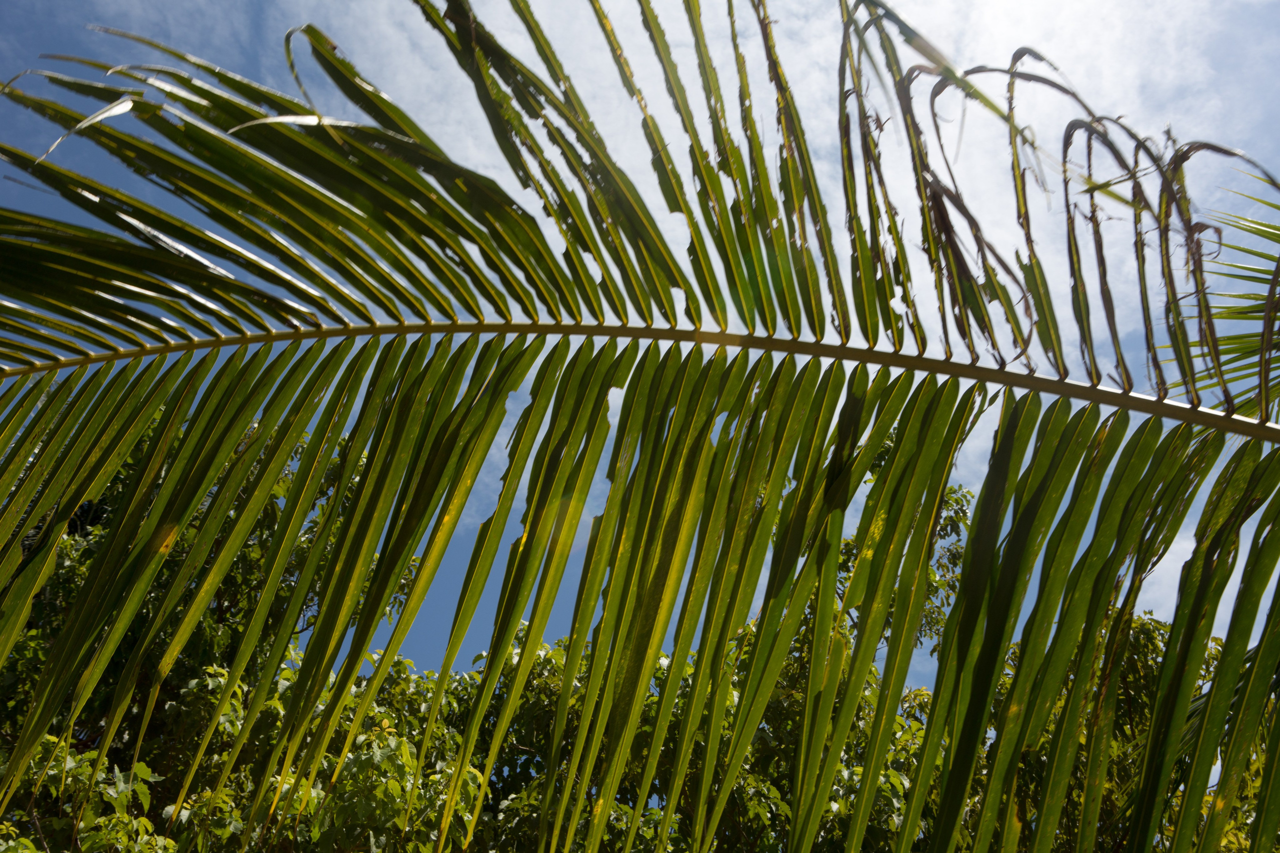 Фото Тайланда. Студия Максима Белослюдцева