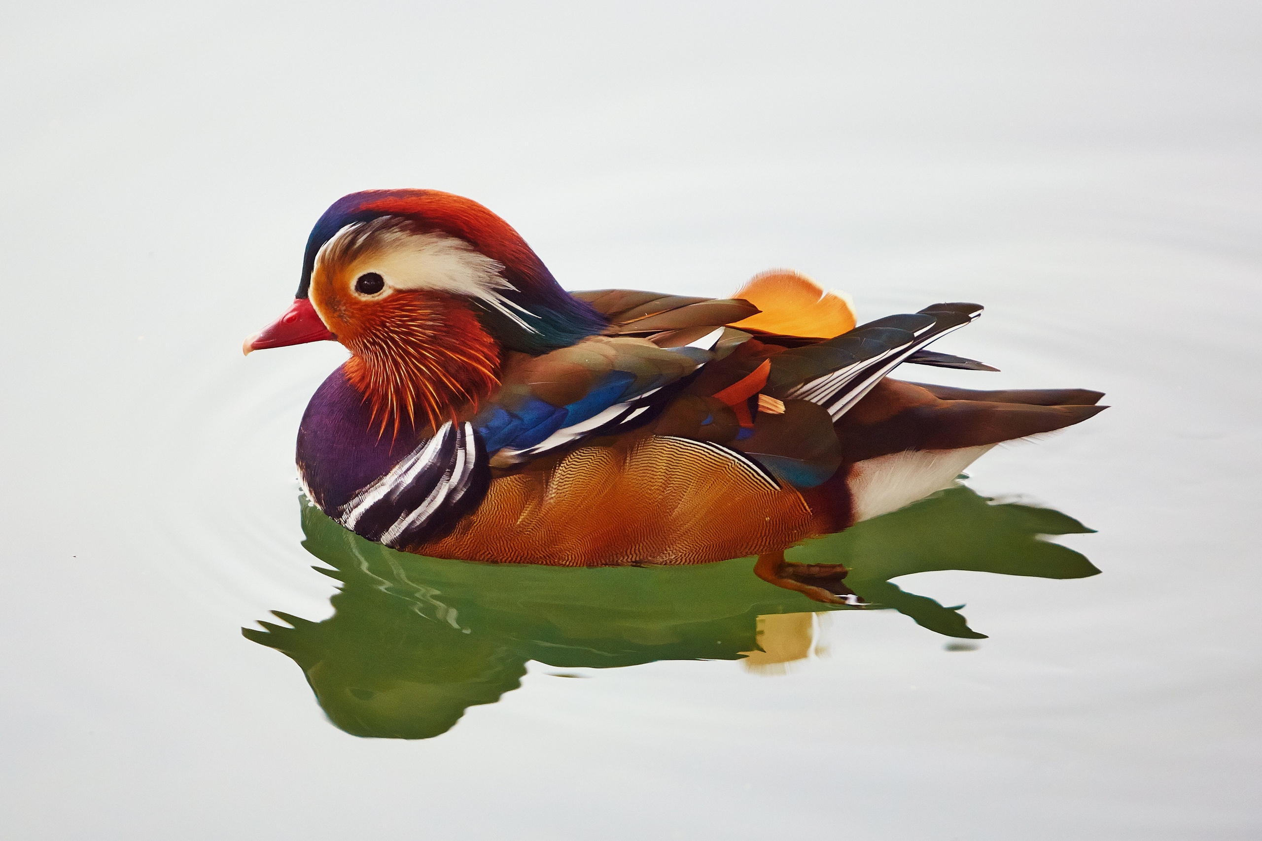 Хорватия. Рекламный коммерческий фотограф в Москве Владимир Лукьянов