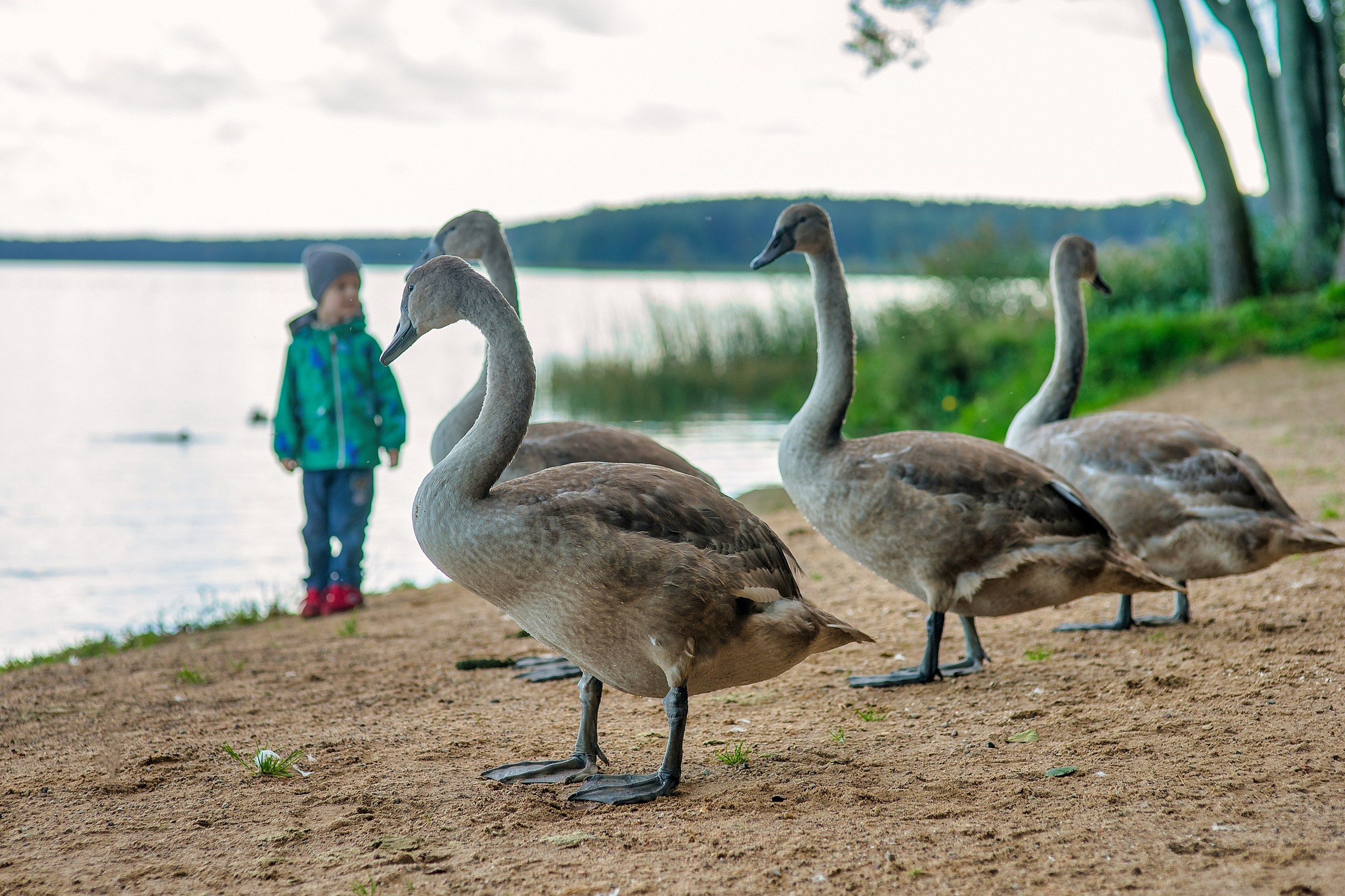 Наша мать — природа. Фотограф Владимир Артамонов