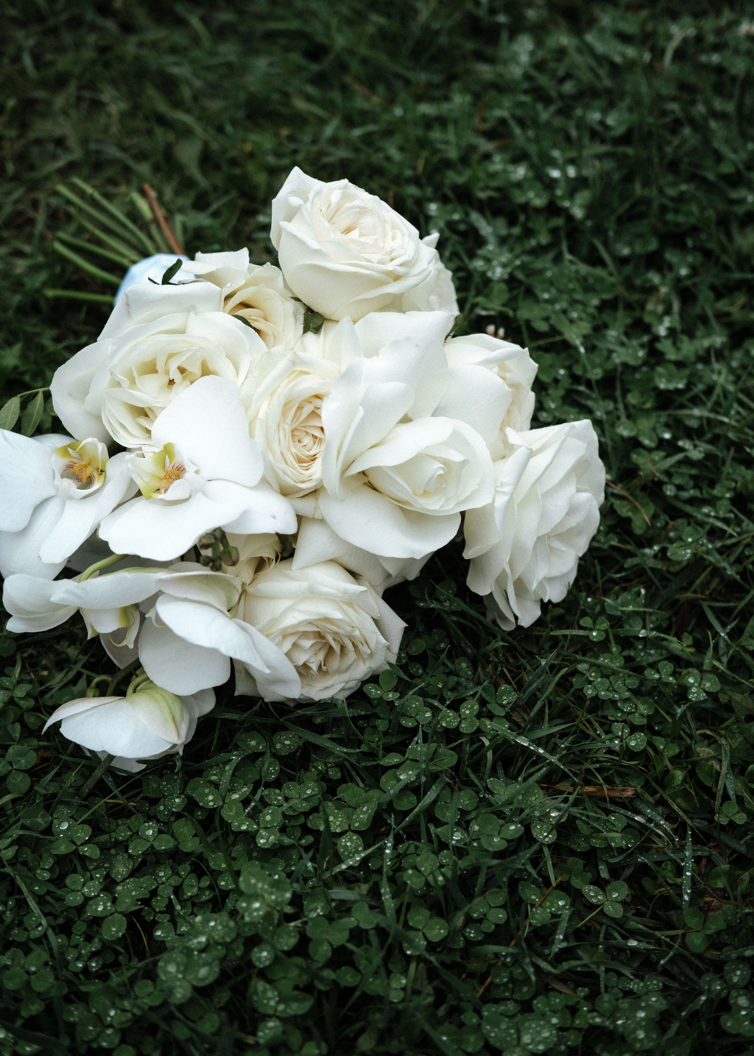 Руслан и Маша. Дина Шаткова