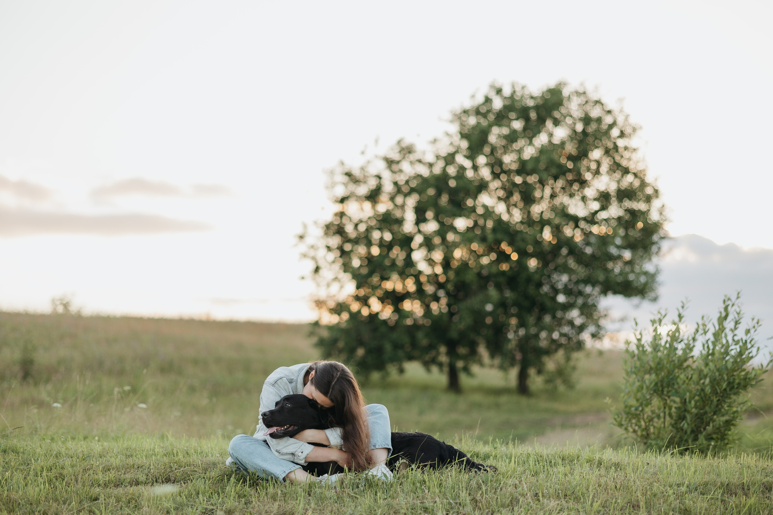 Бомбей и его семья. Фотограф — Анималист | Санкт-Петербург