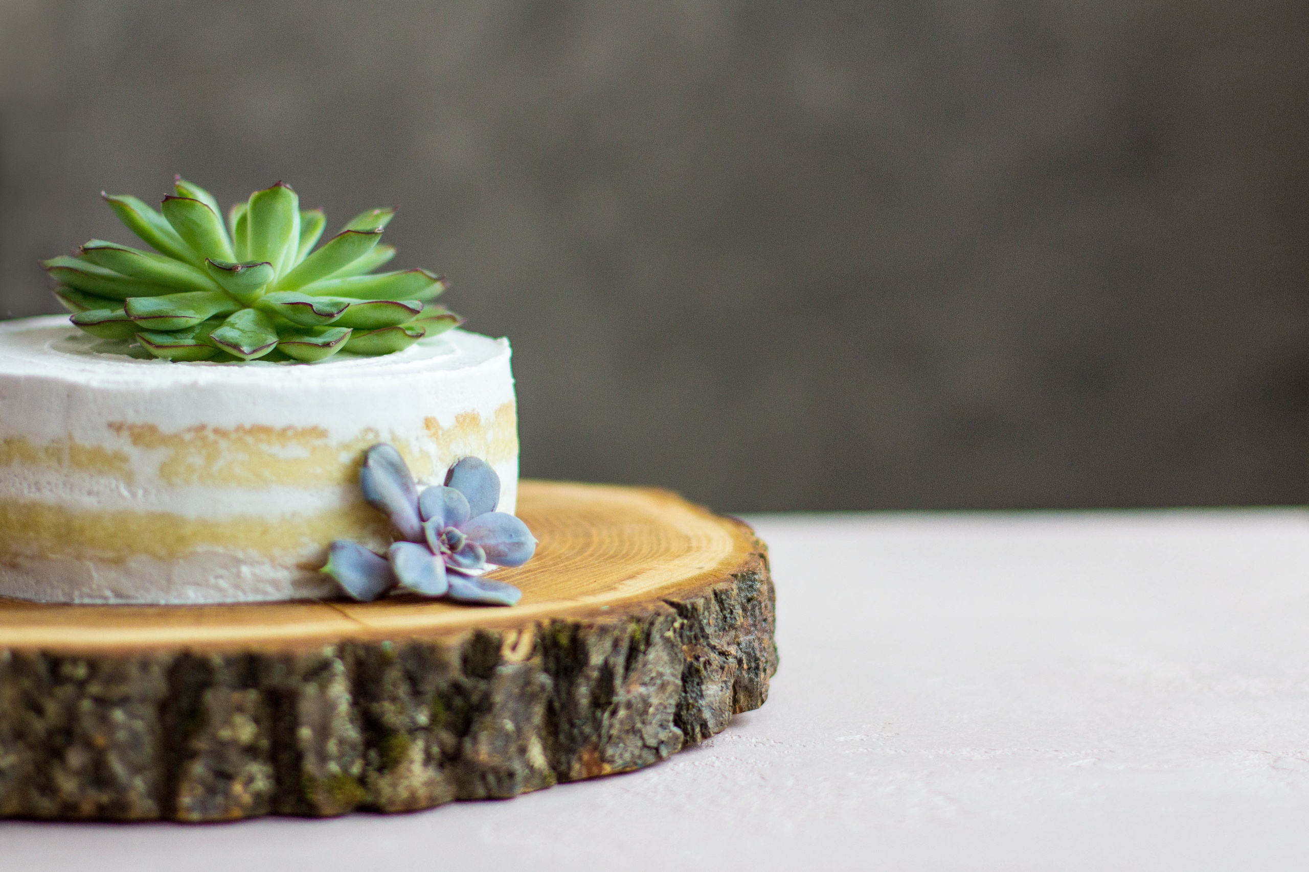 Фуд фотосЪемка. Семейный, детский, свадебный фотограф в Москве, Люберцах