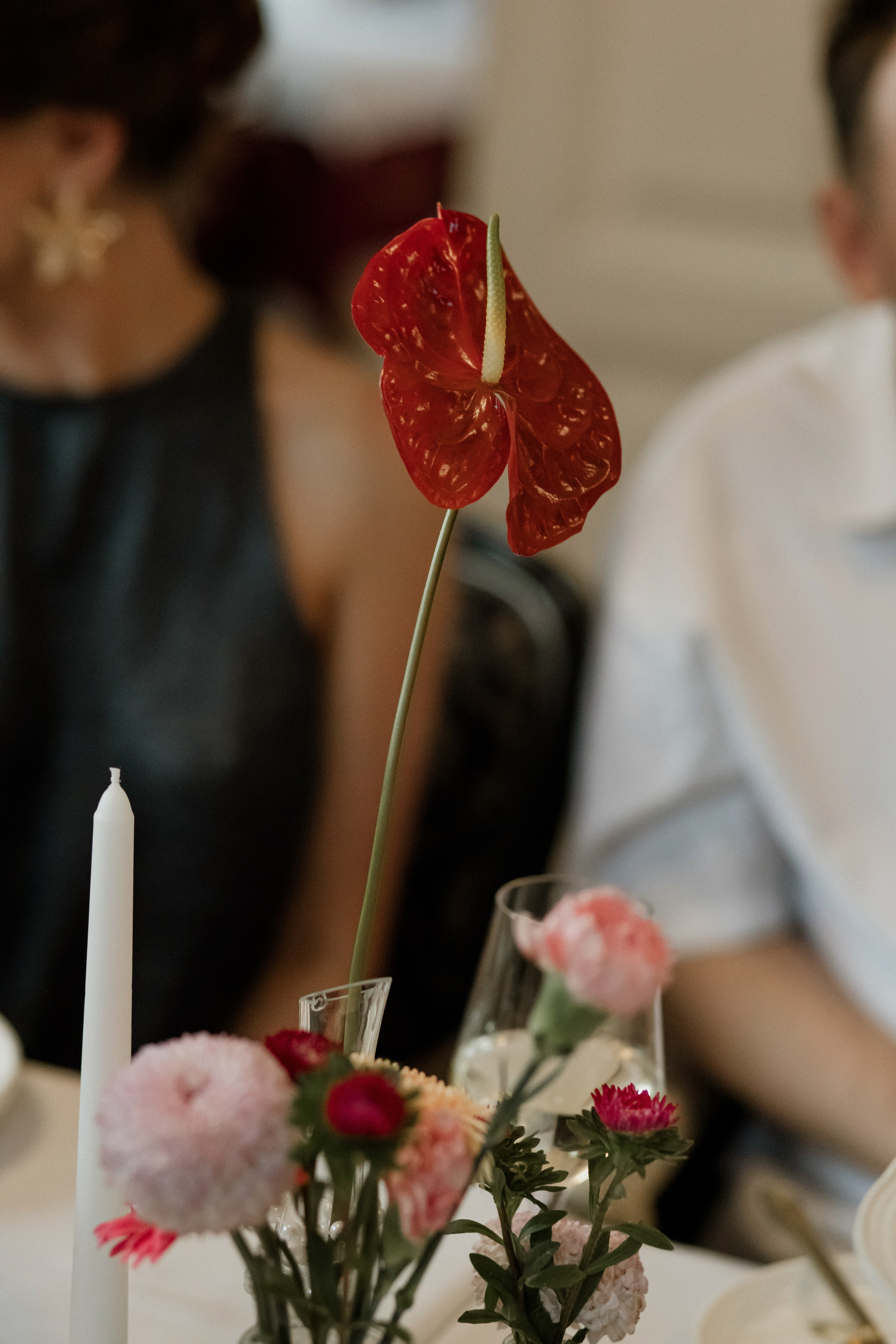 Алексей и Ксения. Валеева Виктория | Свадебный фотограф в Ростове-на-Дону и Москве