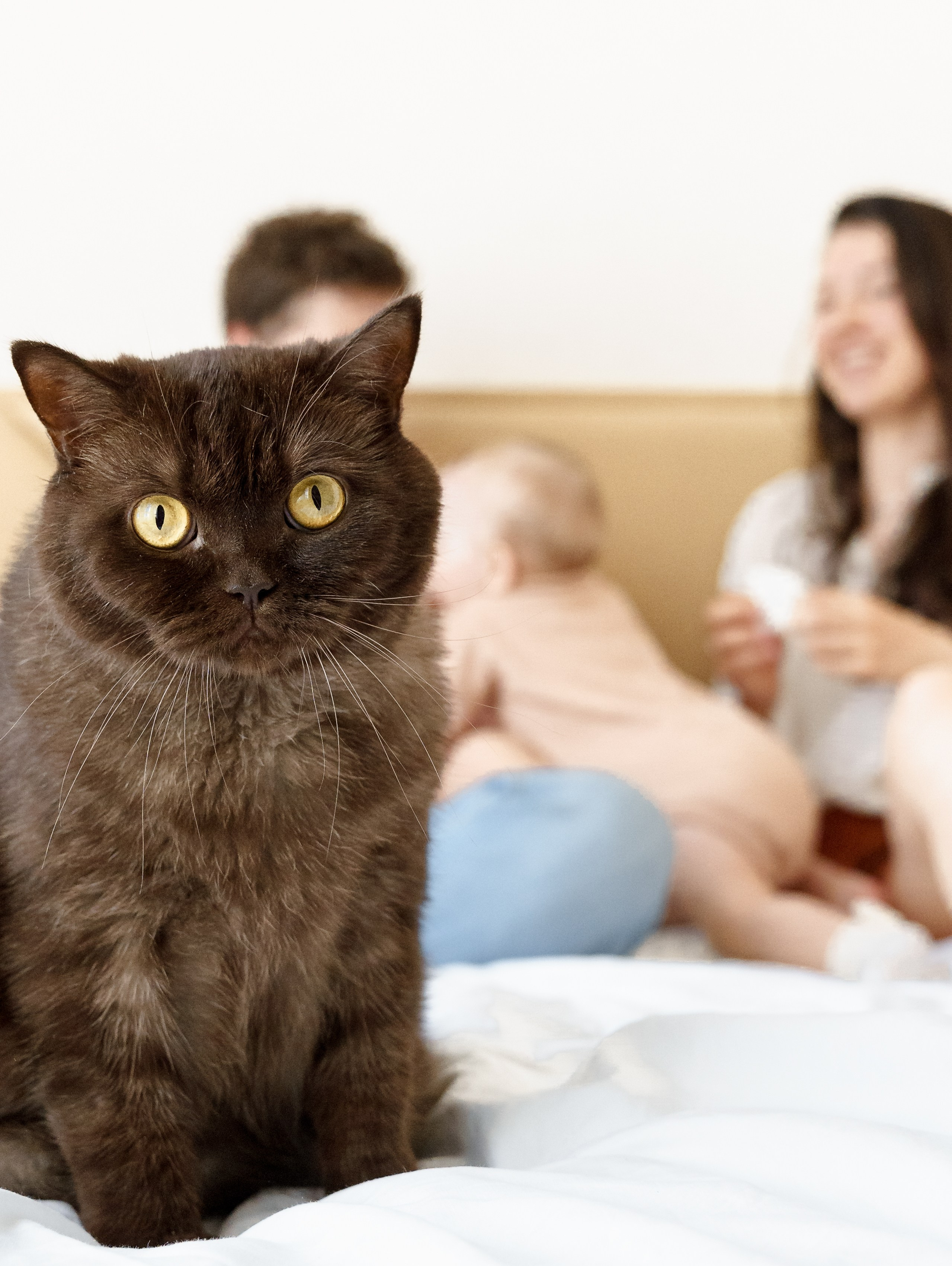 Николь. Елена Симонова