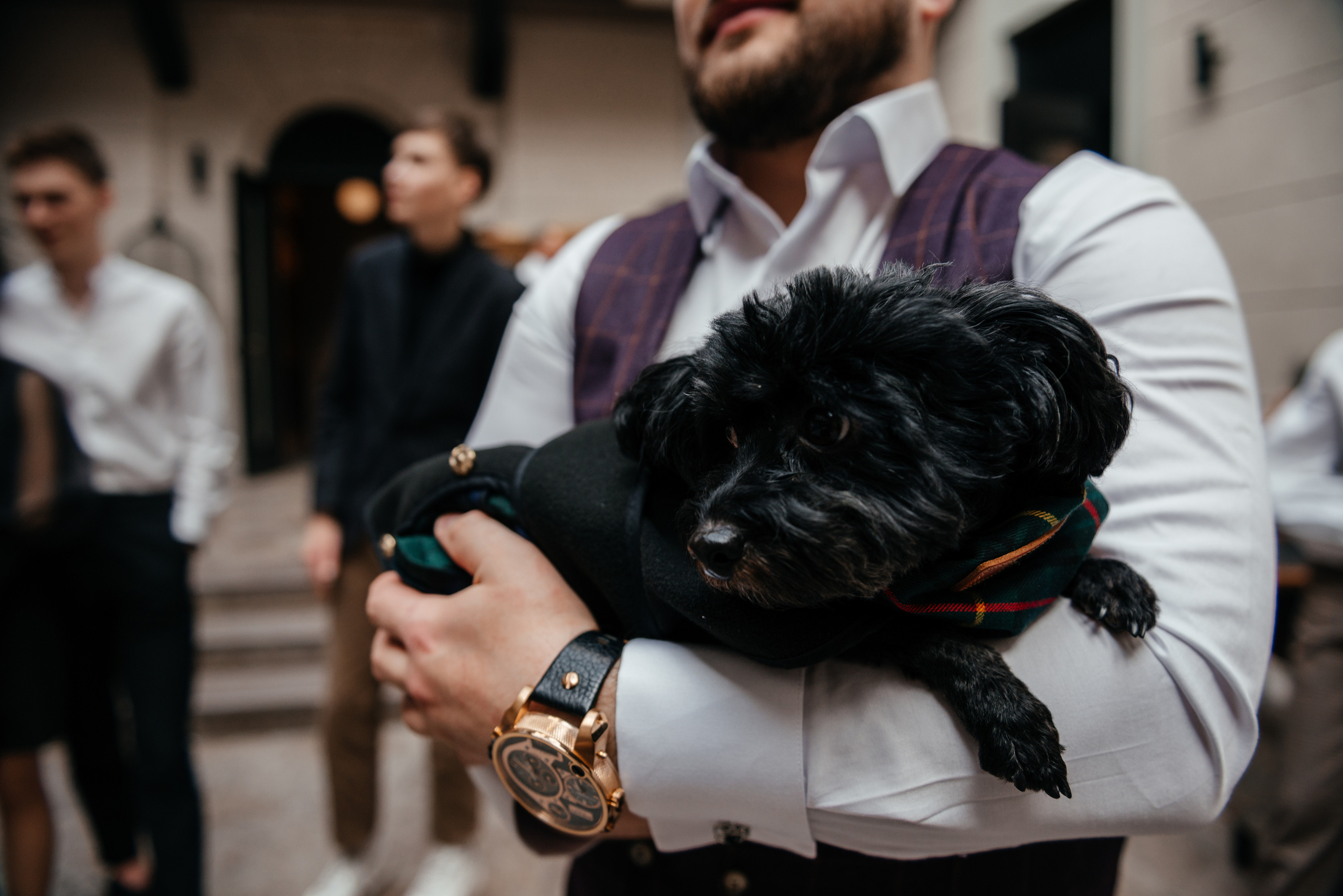 Восемнадцатилетие Эмиля в Замке БИП. Свадебный, семейный фотограф Санкт-Петербург, Колпино, Юлия Хоружая