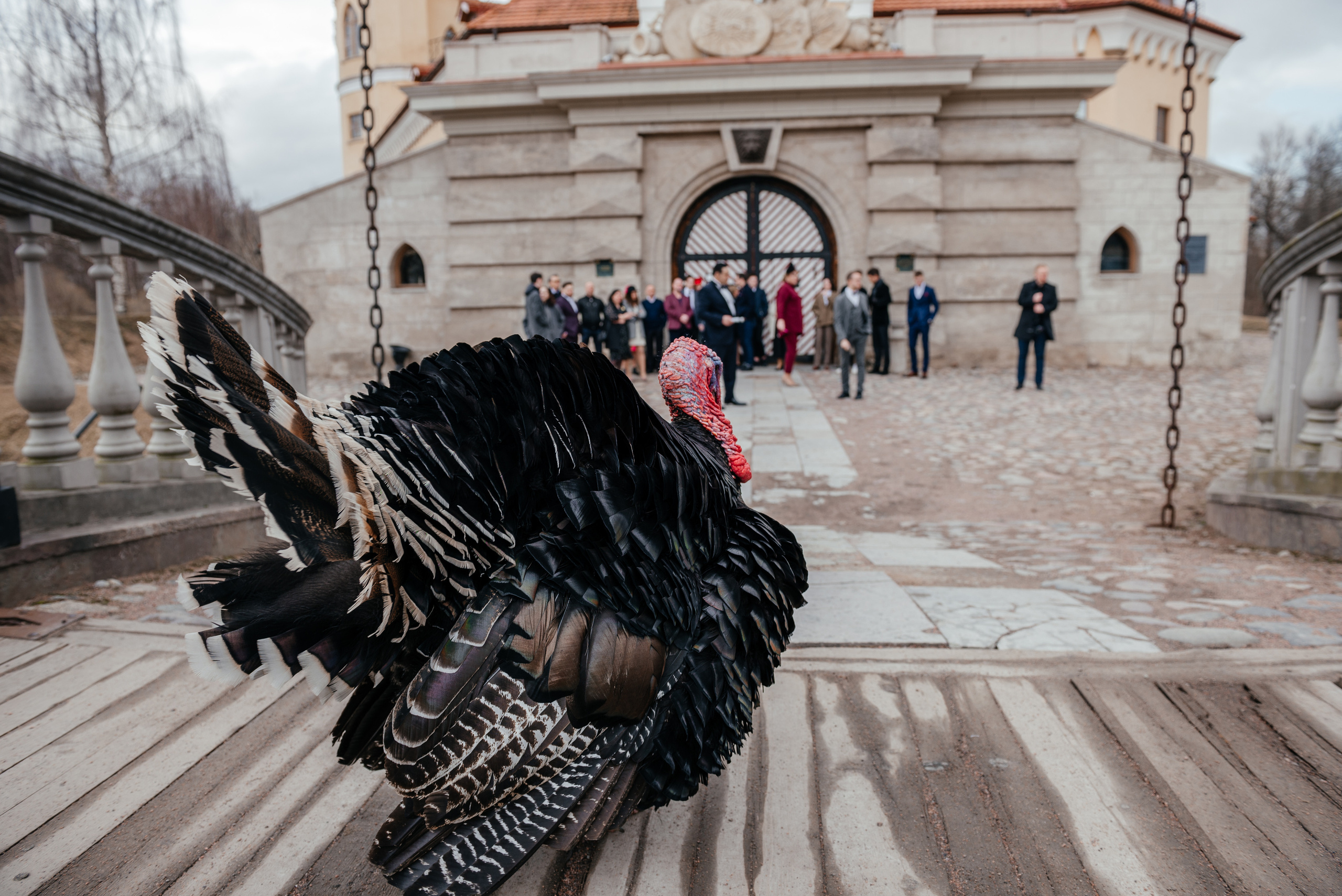 Восемнадцатилетие Эмиля в Замке БИП. Свадебный, семейный фотограф Санкт-Петербург, Колпино, Юлия Хоружая