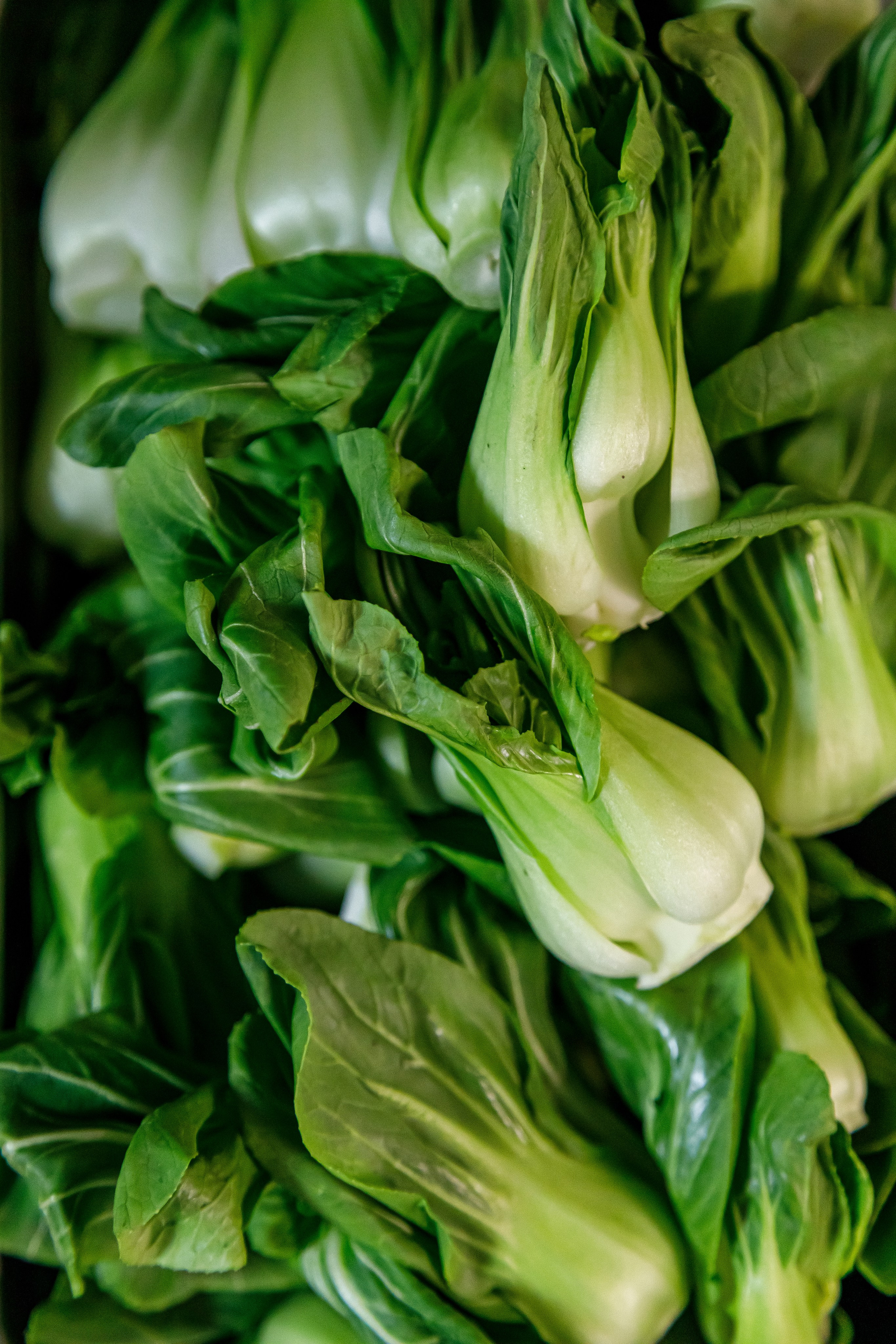 Ресторации. Фотограф в Москве Базанова Дарья