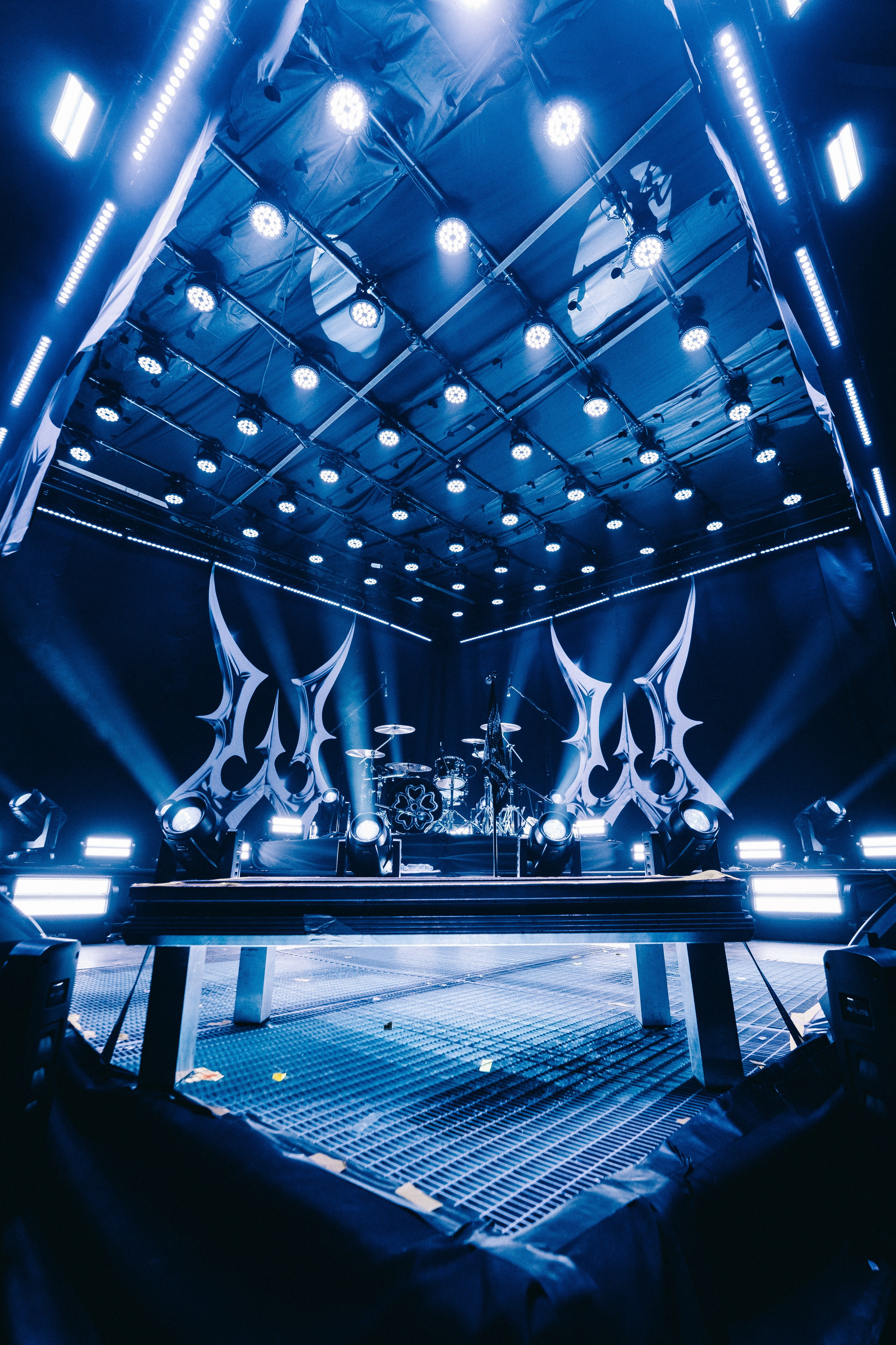 WILDWAYS. PASHAHARCE PHOTOGRAPHER & VIDEOGRAPHER