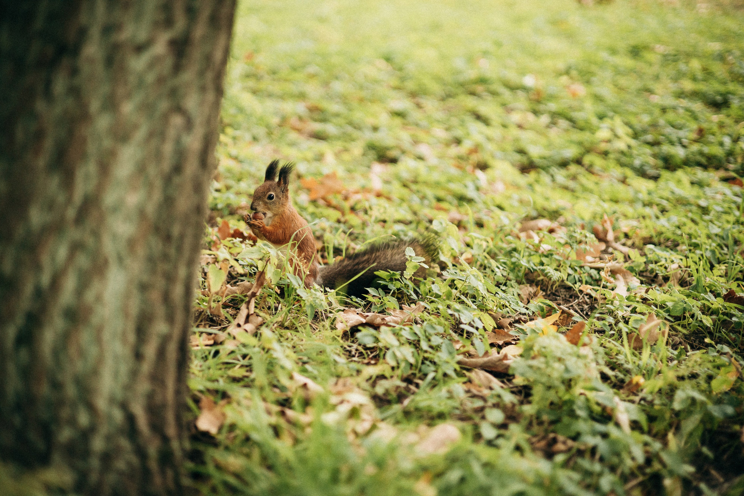 Артур и Антон