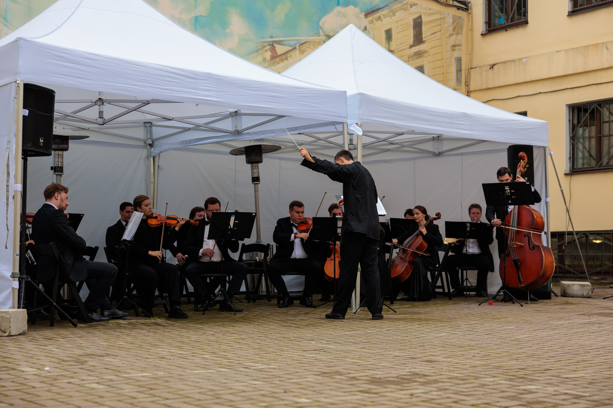 Концерт малого симфонического оркестра. Репортажный фотограф Санкт-Петербург | Роман Карбышев