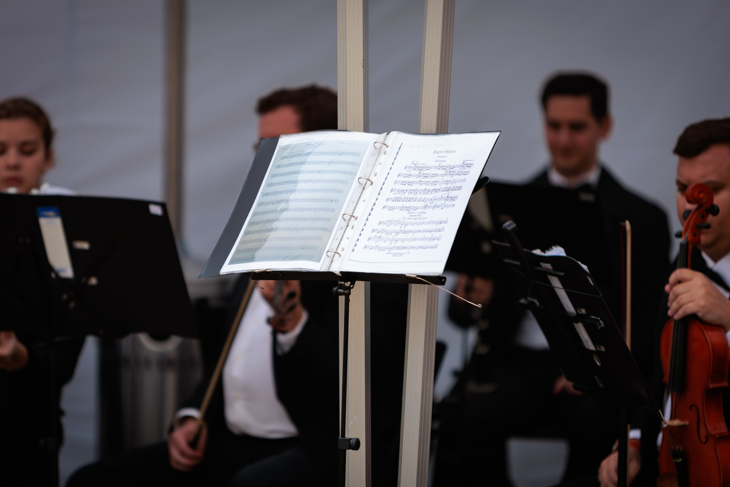 Концерт малого симфонического оркестра.