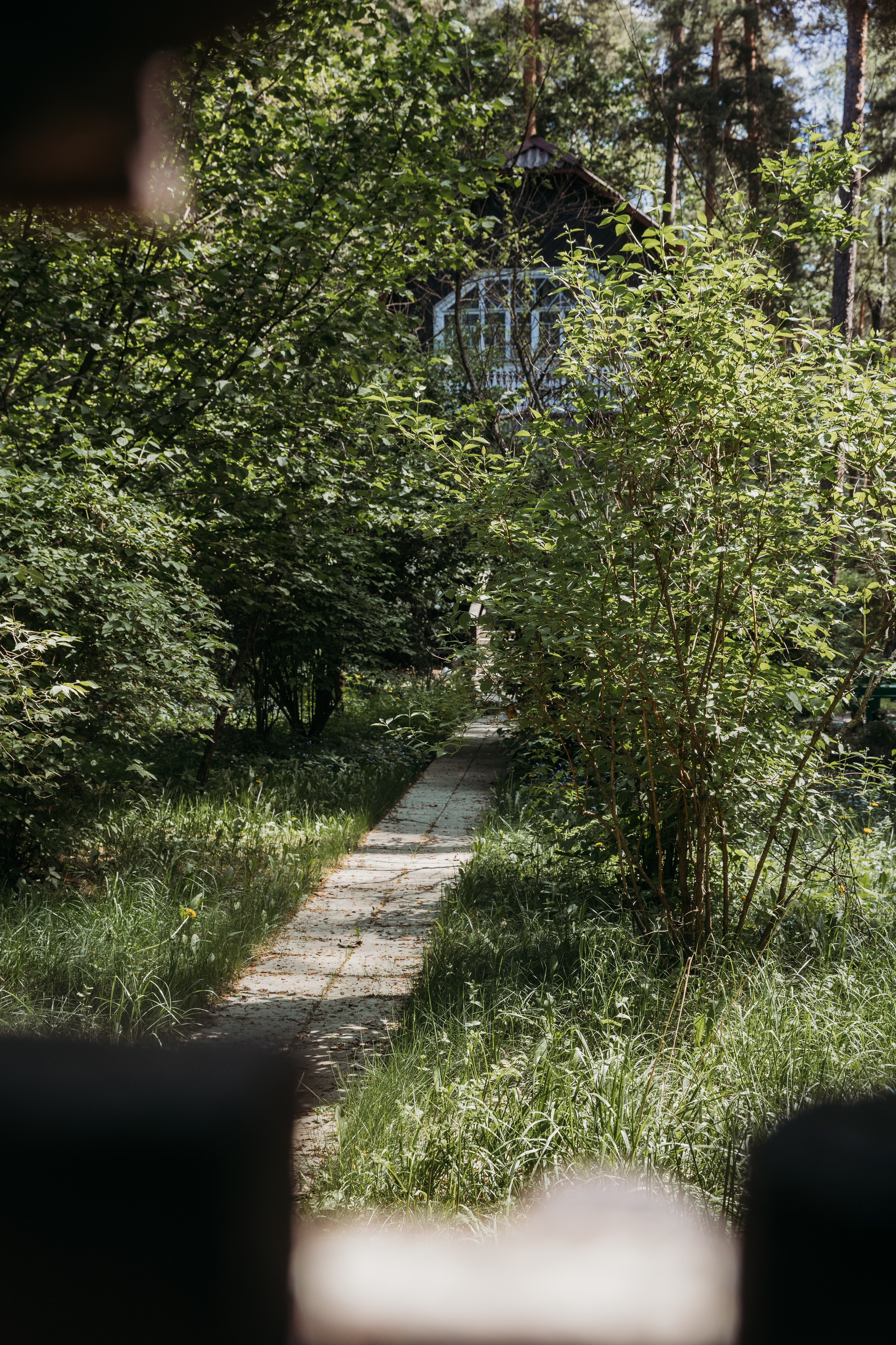 Родные люди «Кратово». Леся Гаранина. Семейный фотограф/видеограф Москва и область